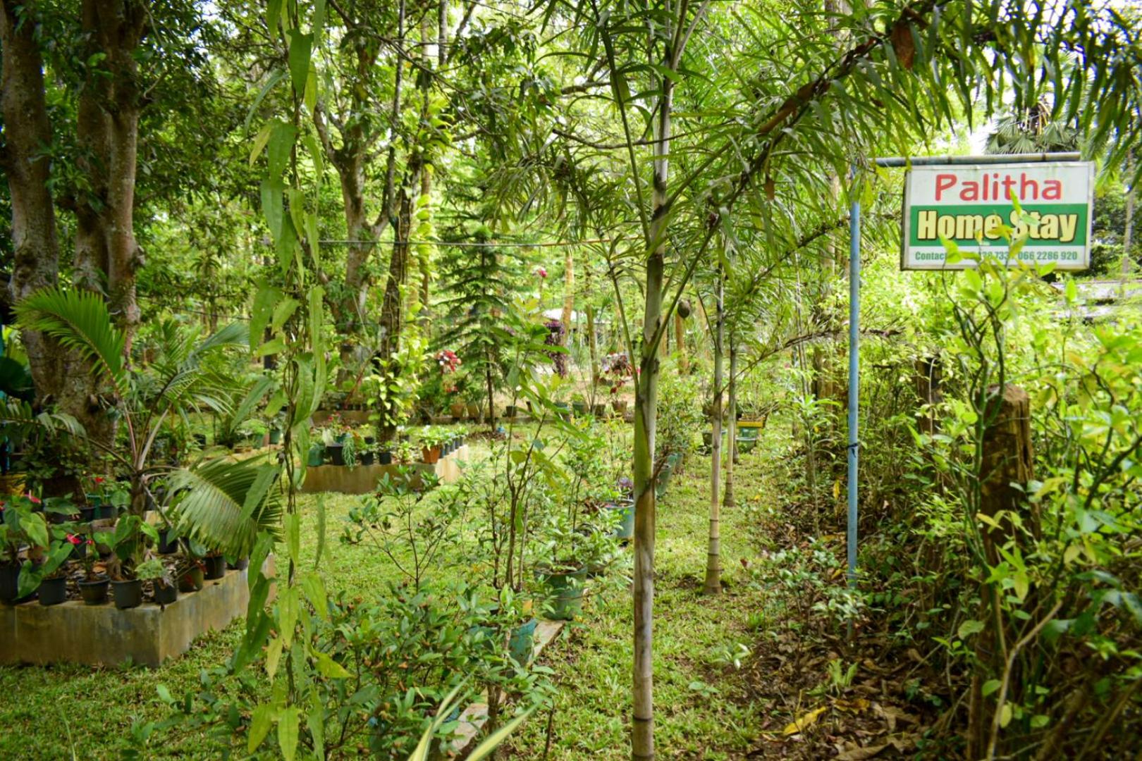 Palitha Homestay