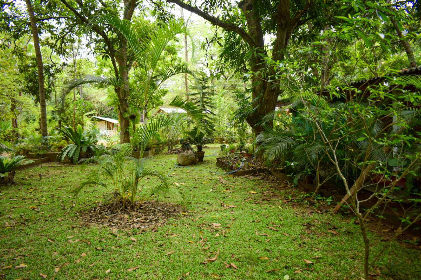 Palitha Homestay