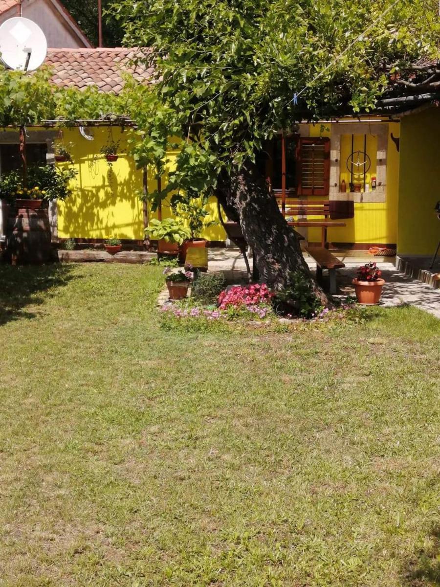Holiday house Nono view 2