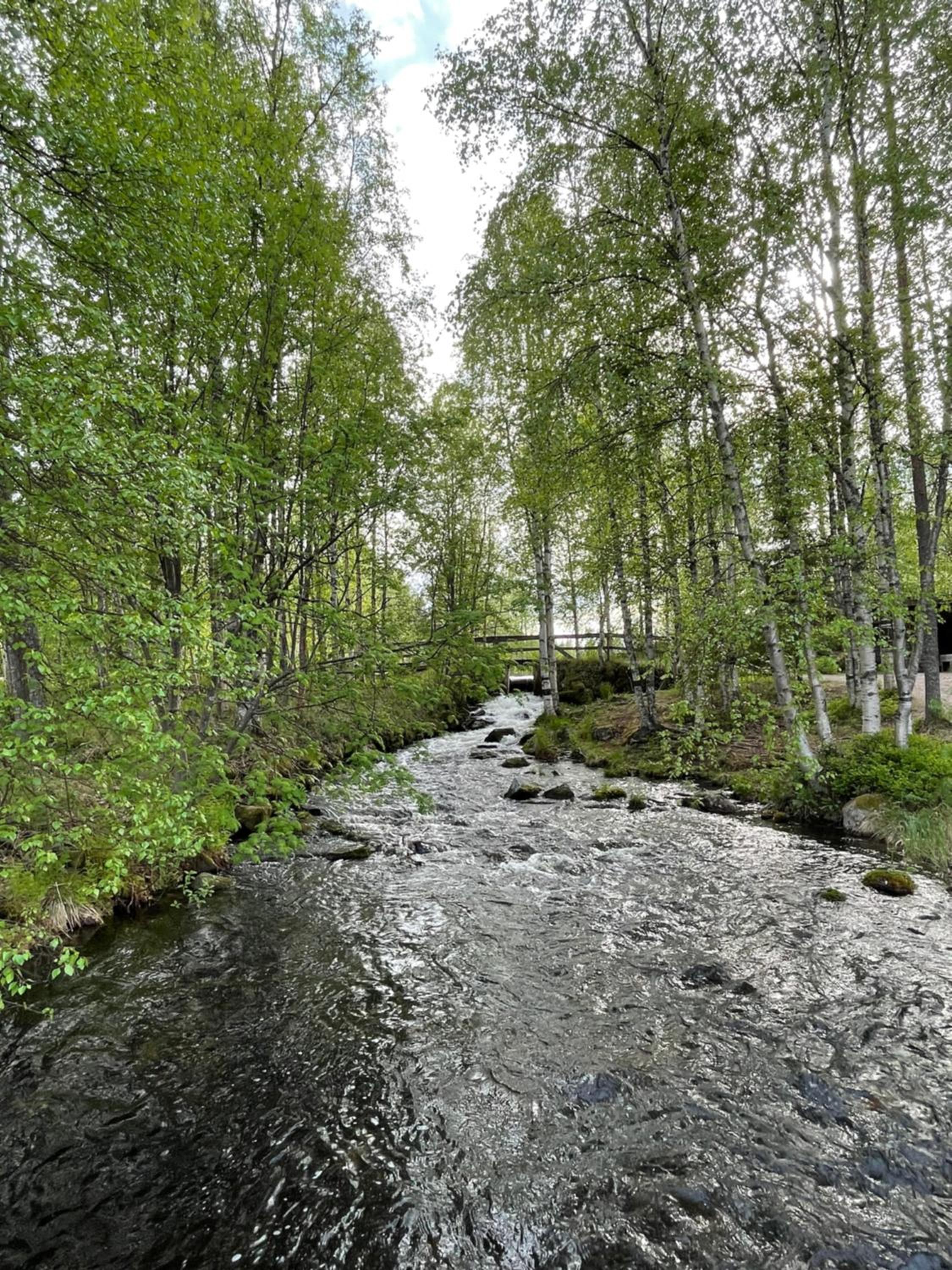 Photo 52