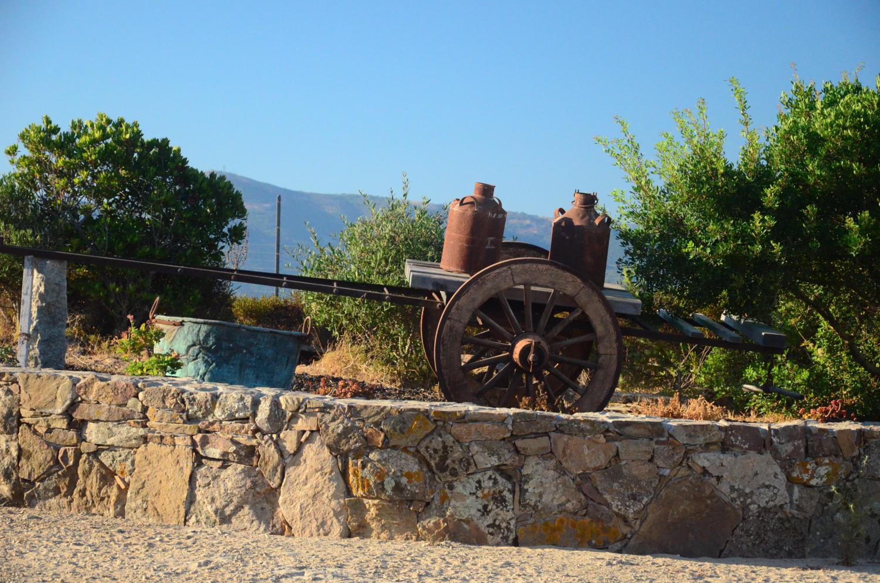 Agriturismo Costa Verde