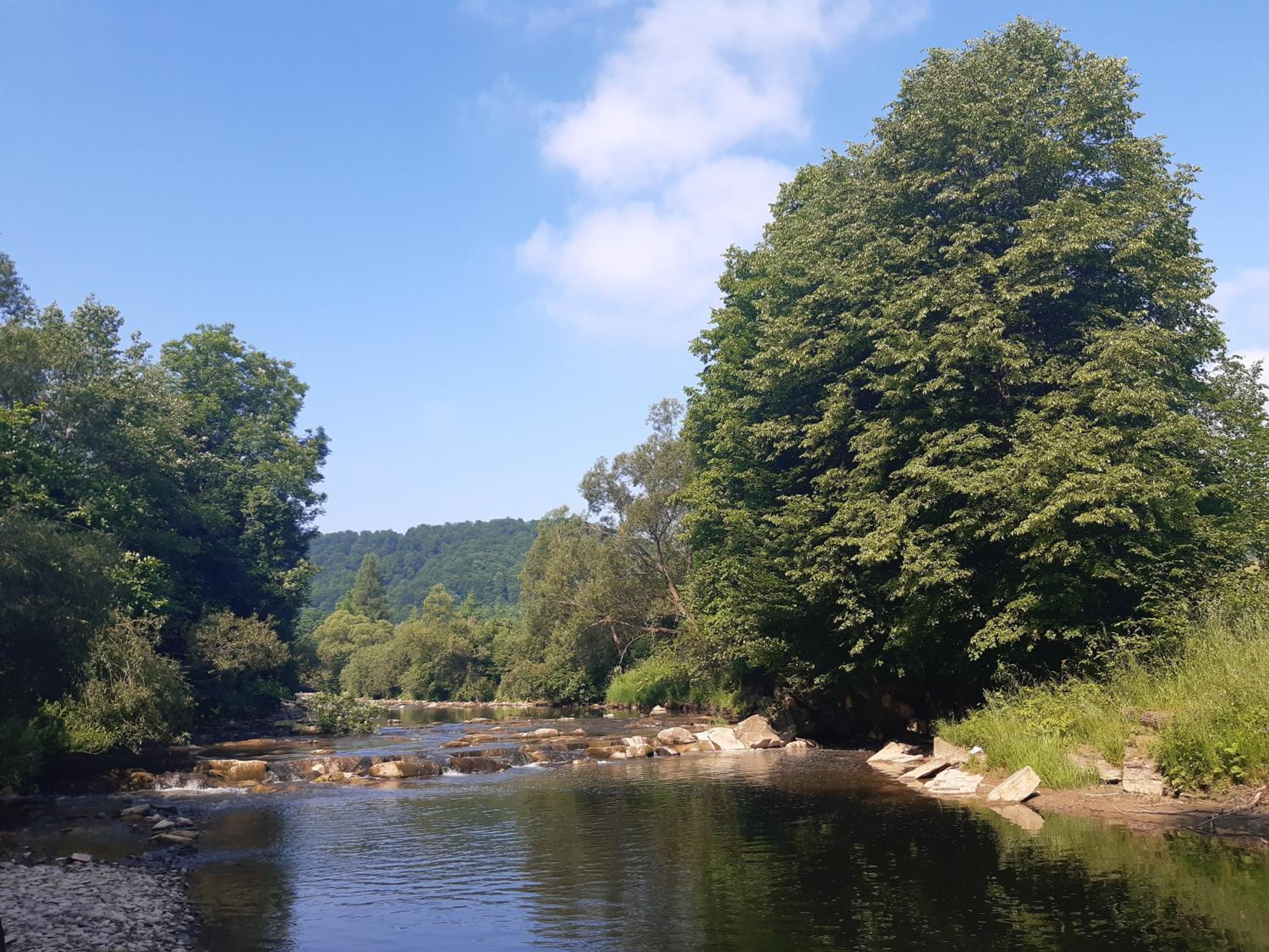 Domek na Pętli