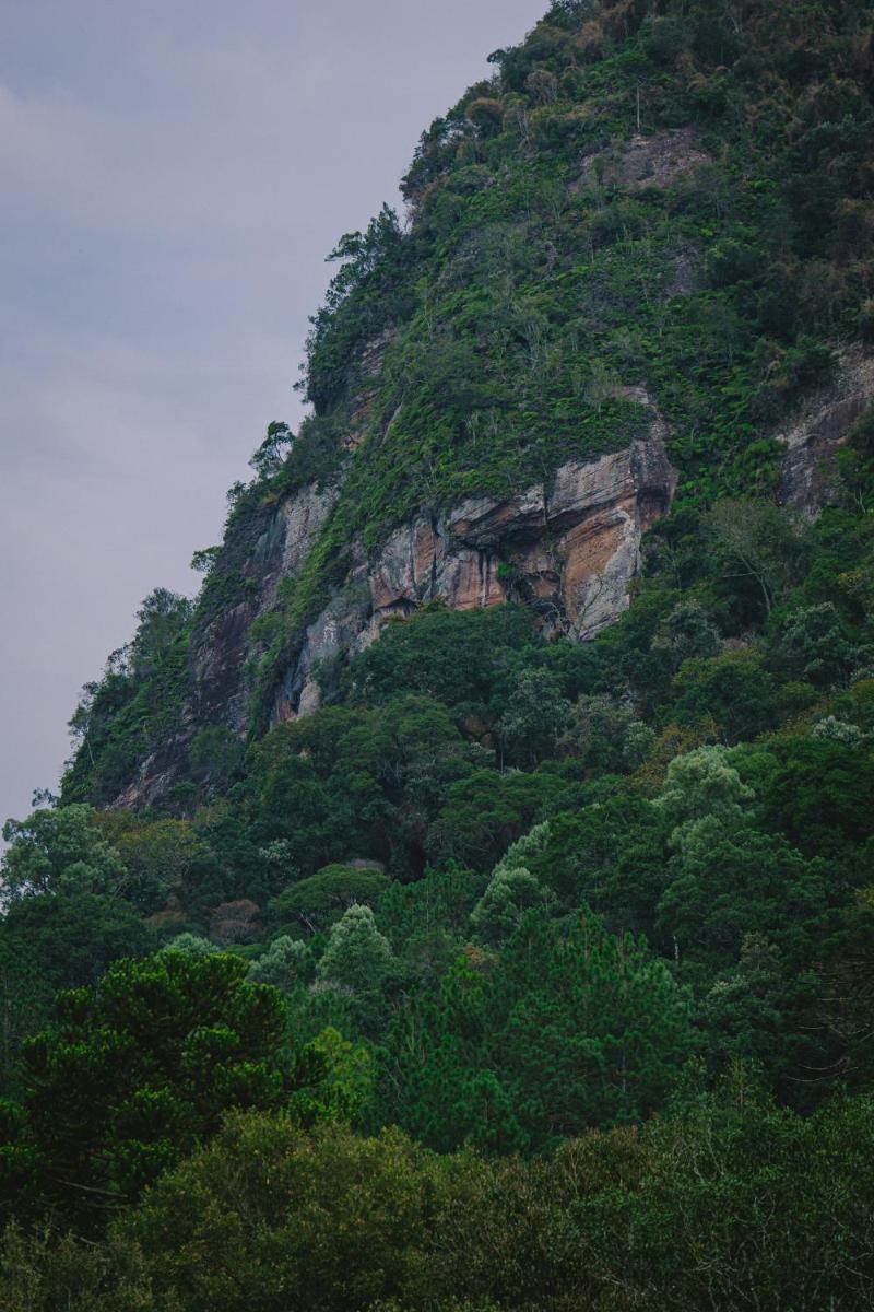 Pousada suite avencal