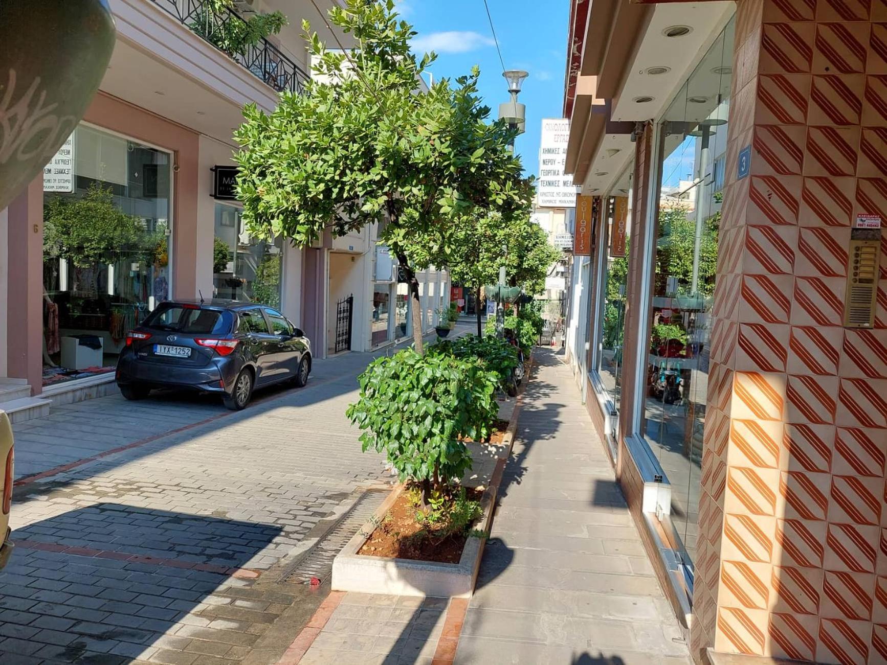 PETMEZA APARTMENT 2 Aigio City F view 2