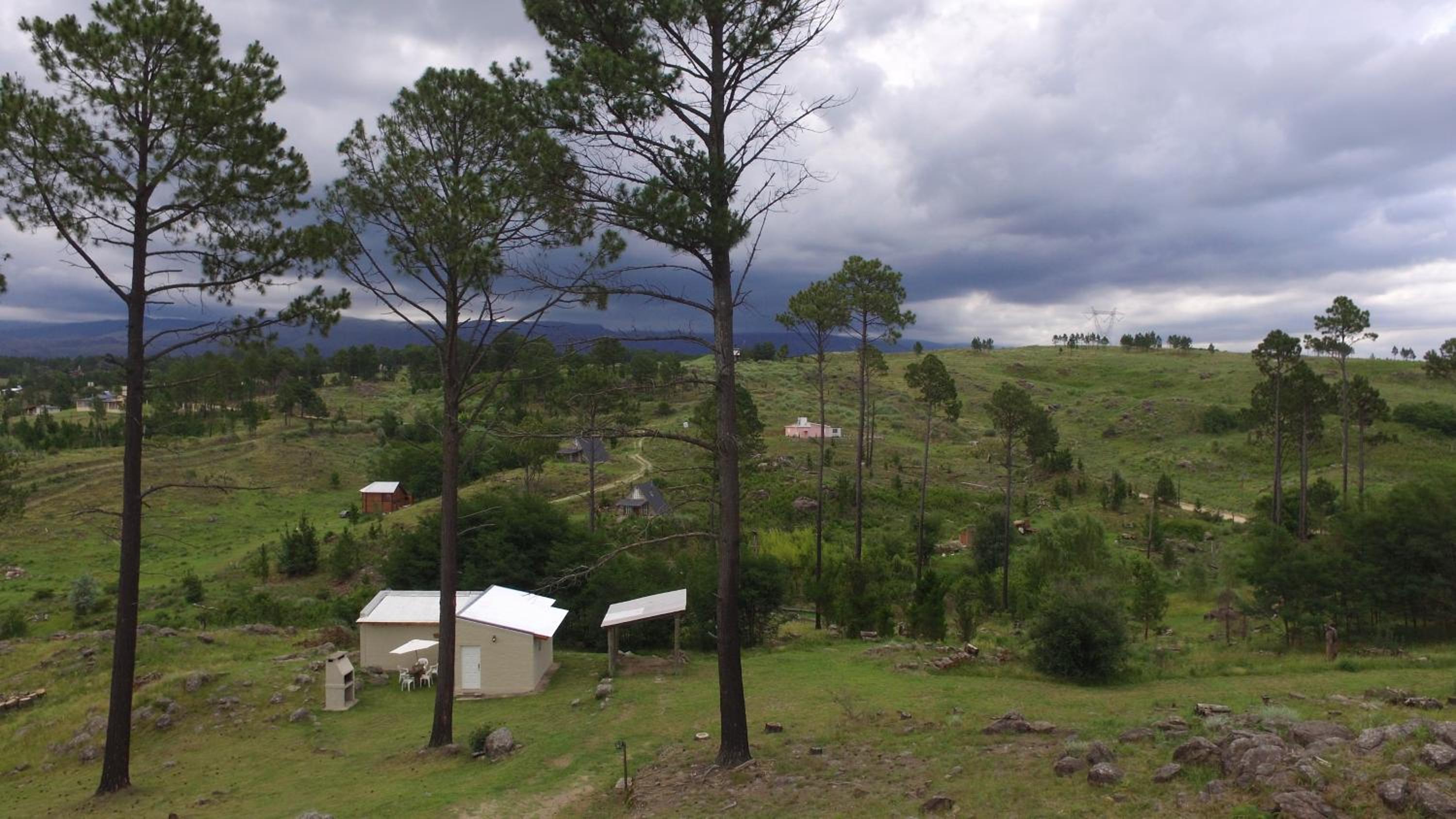 Altos Del Bosque