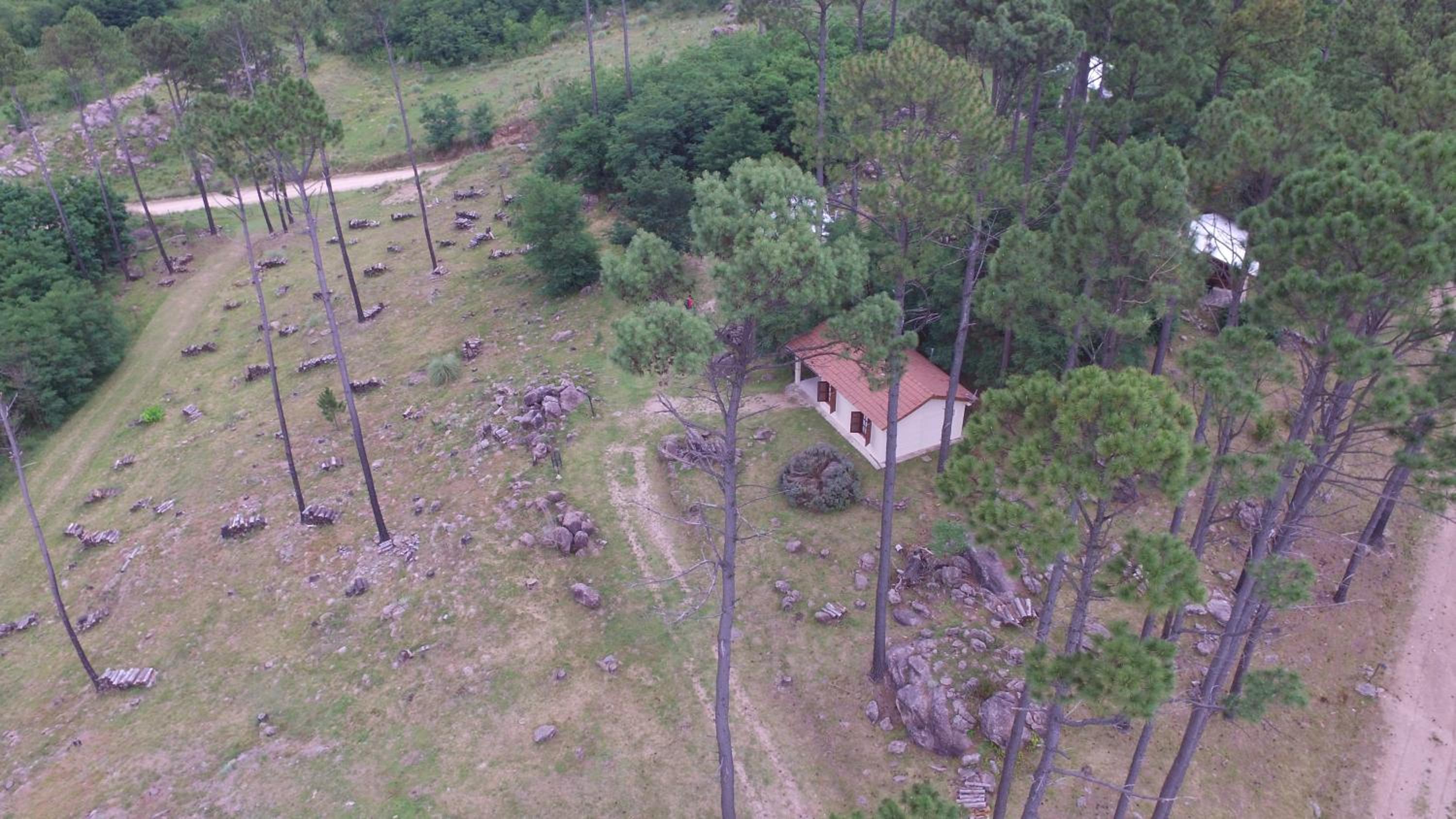 Altos Del Bosque