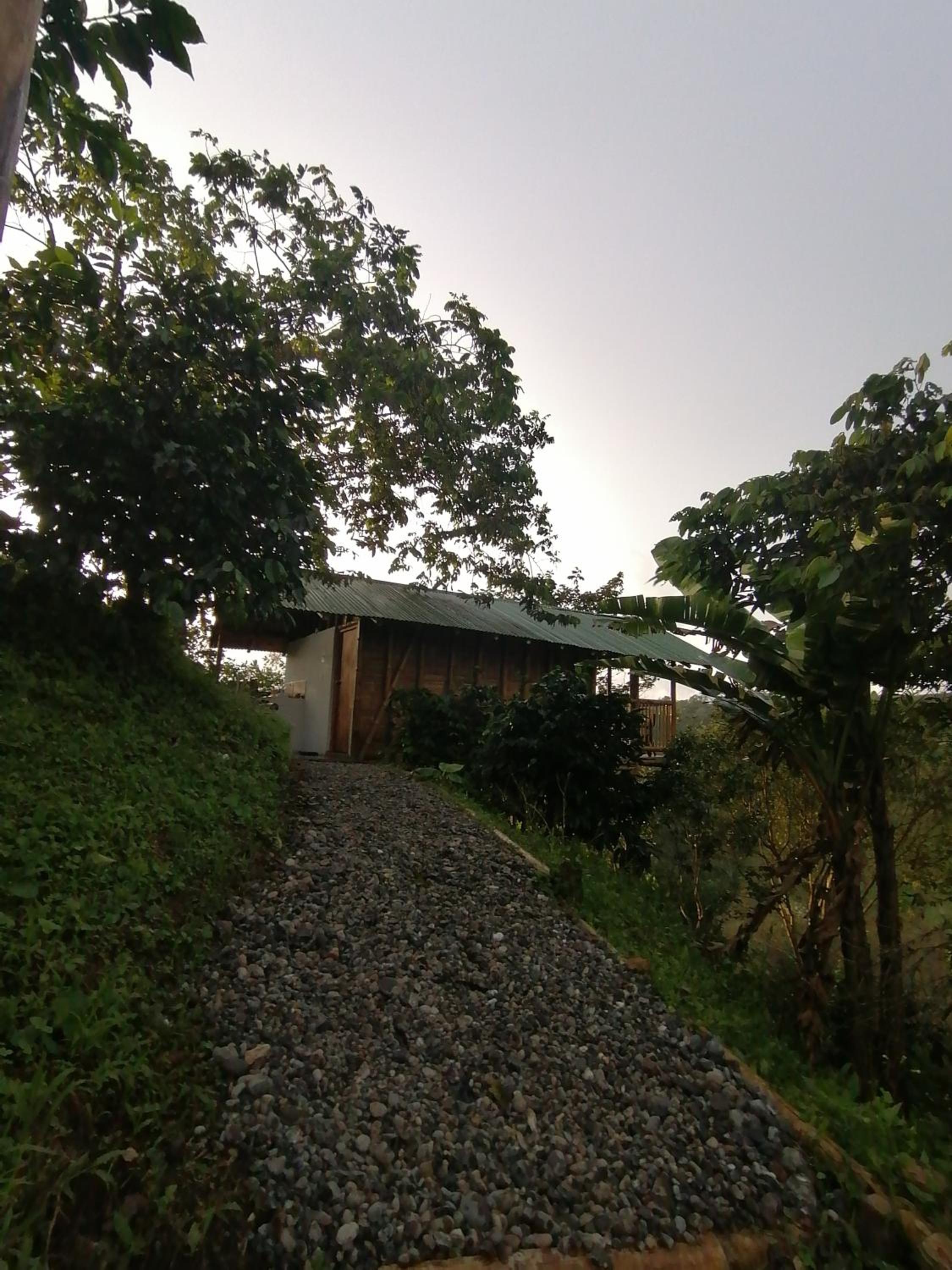Alojamiento rural finca la bendición view 3