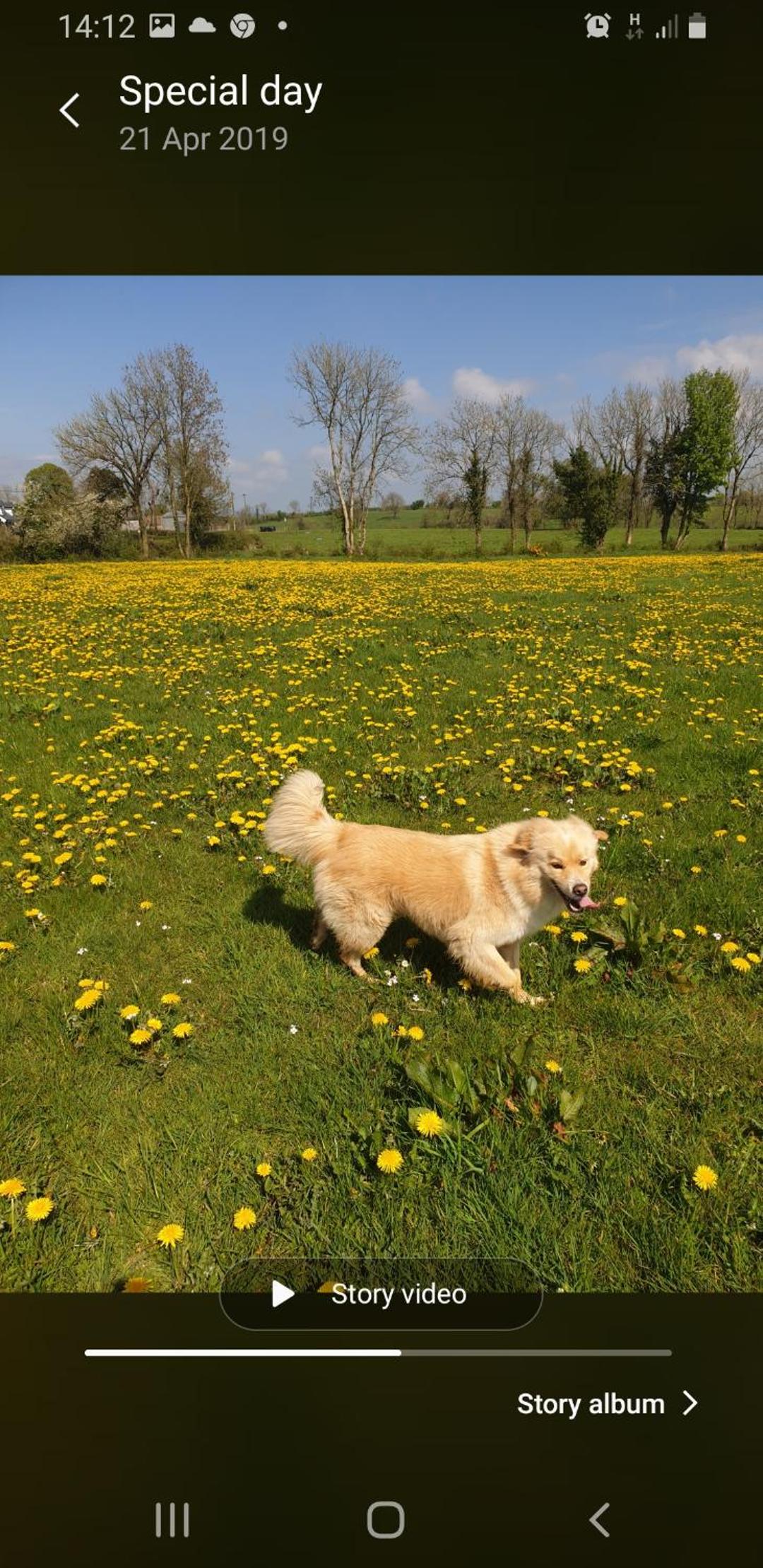 Photo 48