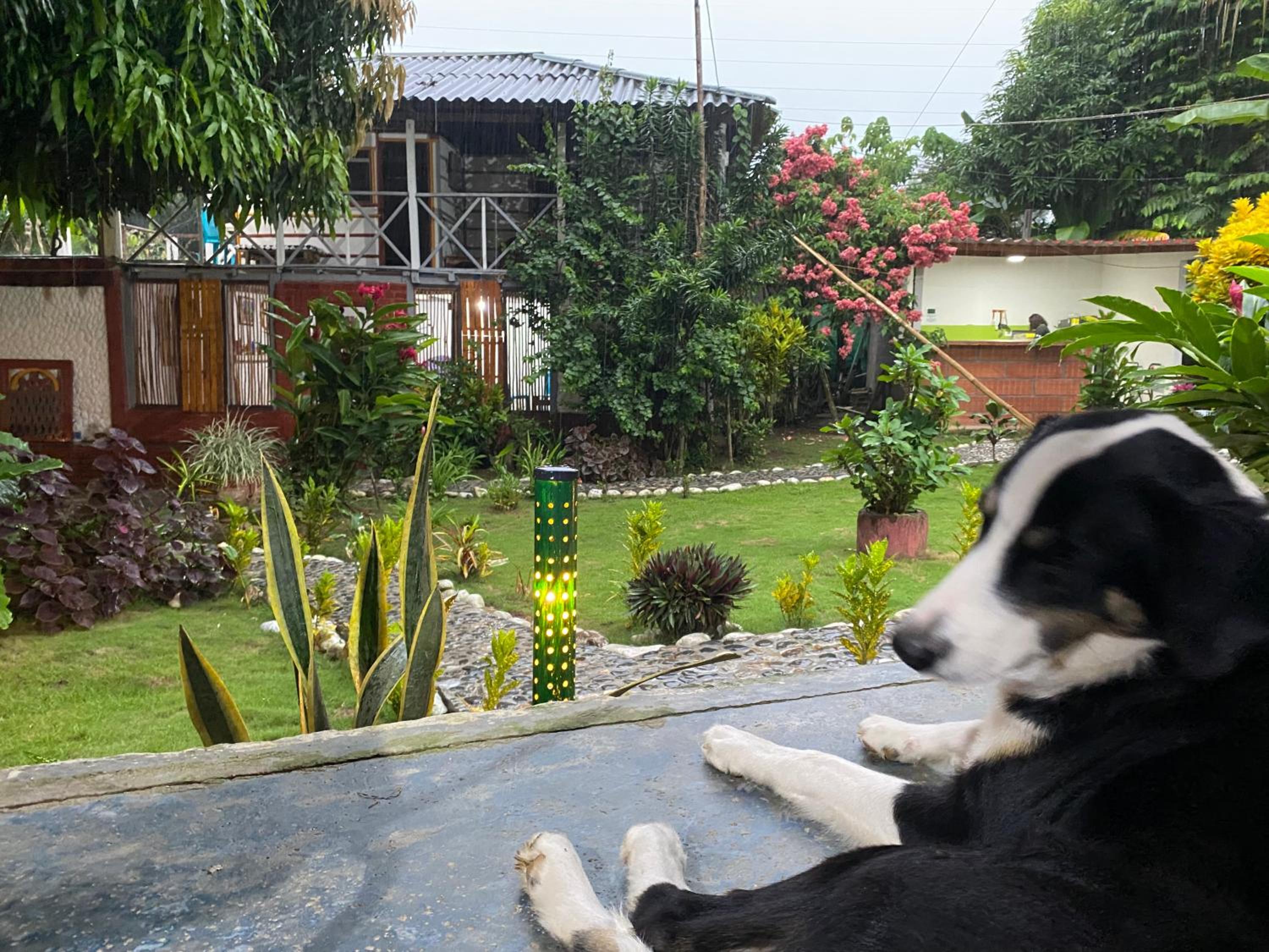 WAYANAY TAYRONA ECO HOSTEL