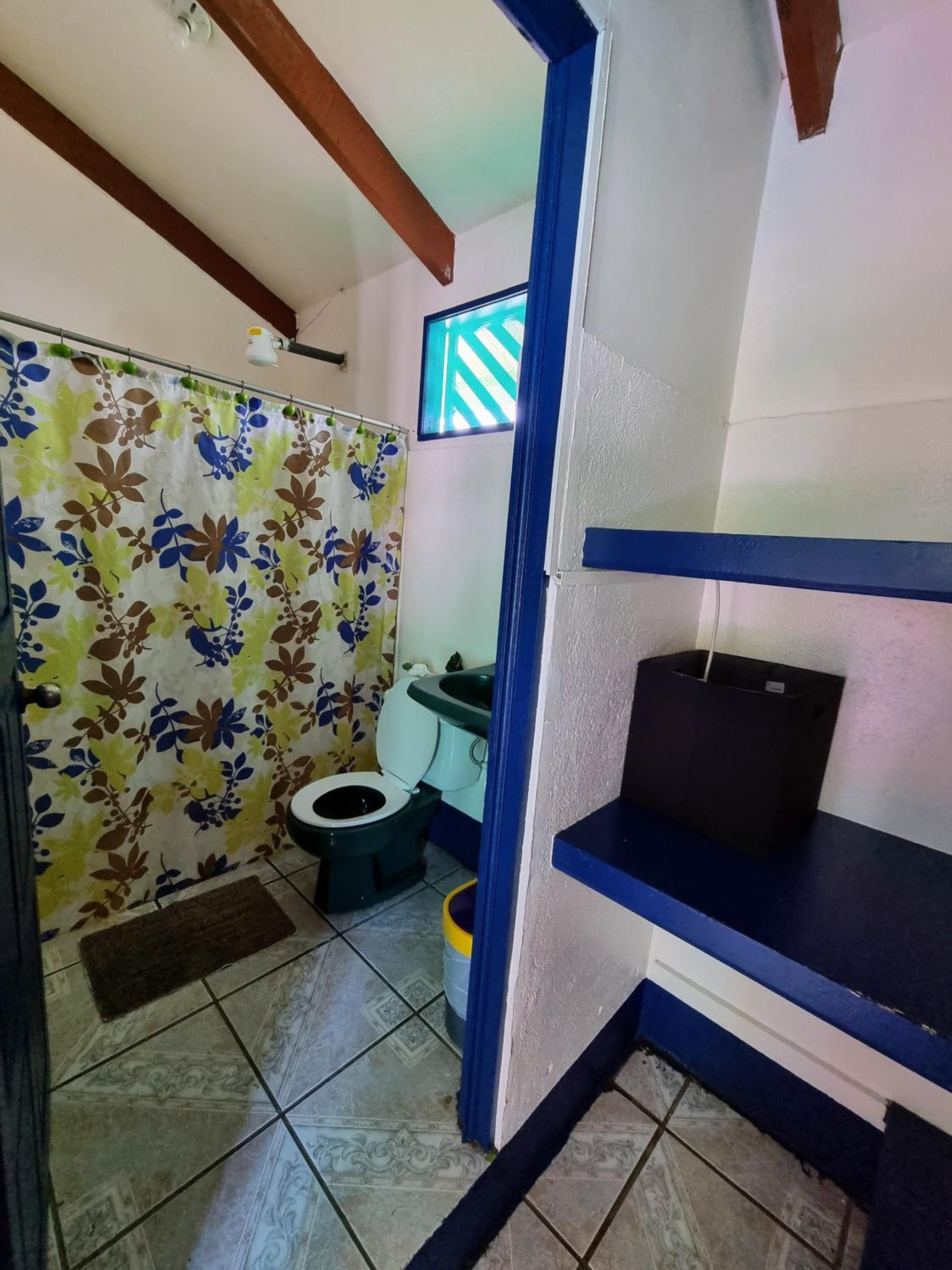 Cabinas Tortuguero Natural