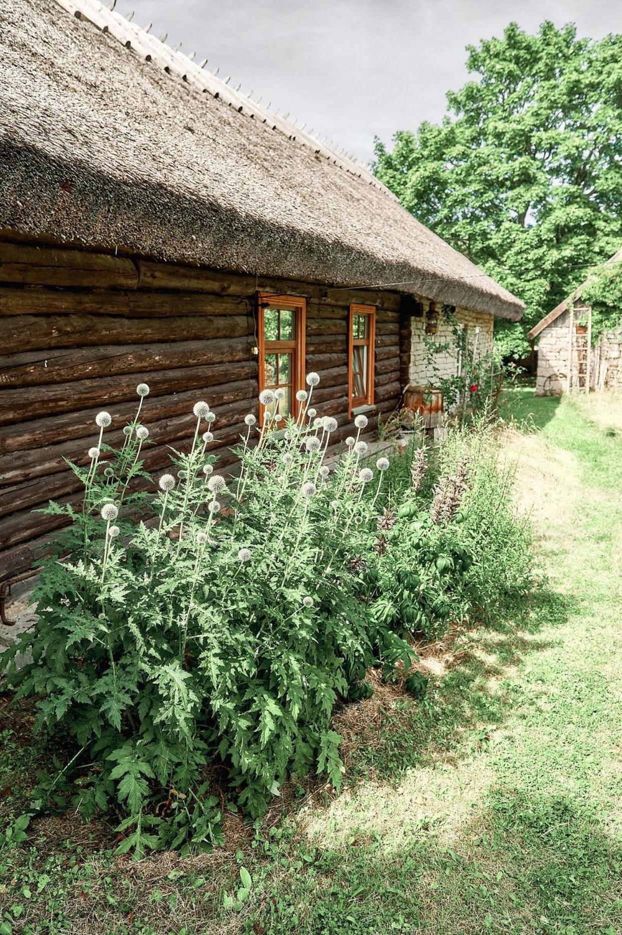 Matsi cottage view 2
