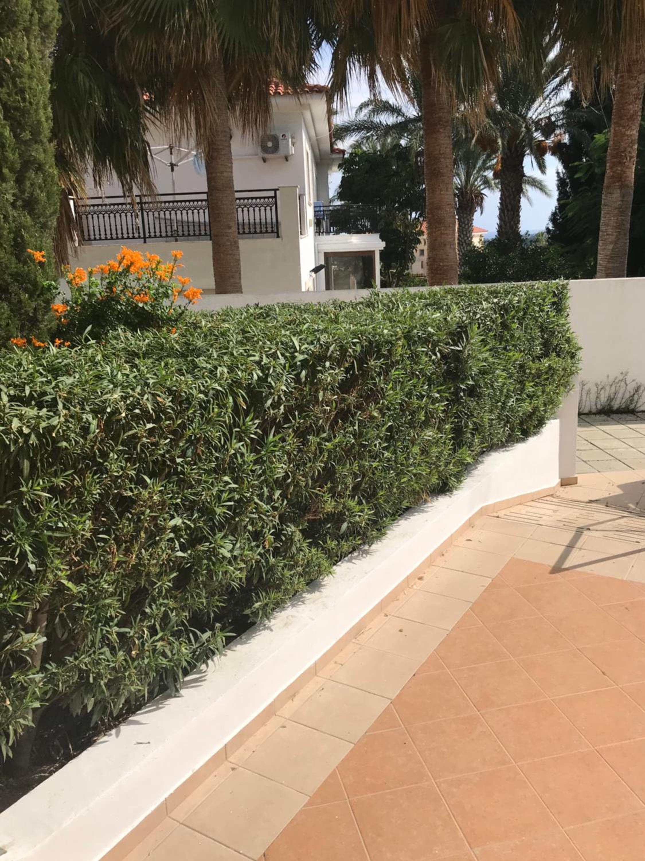 Mediterranean dream view 2
