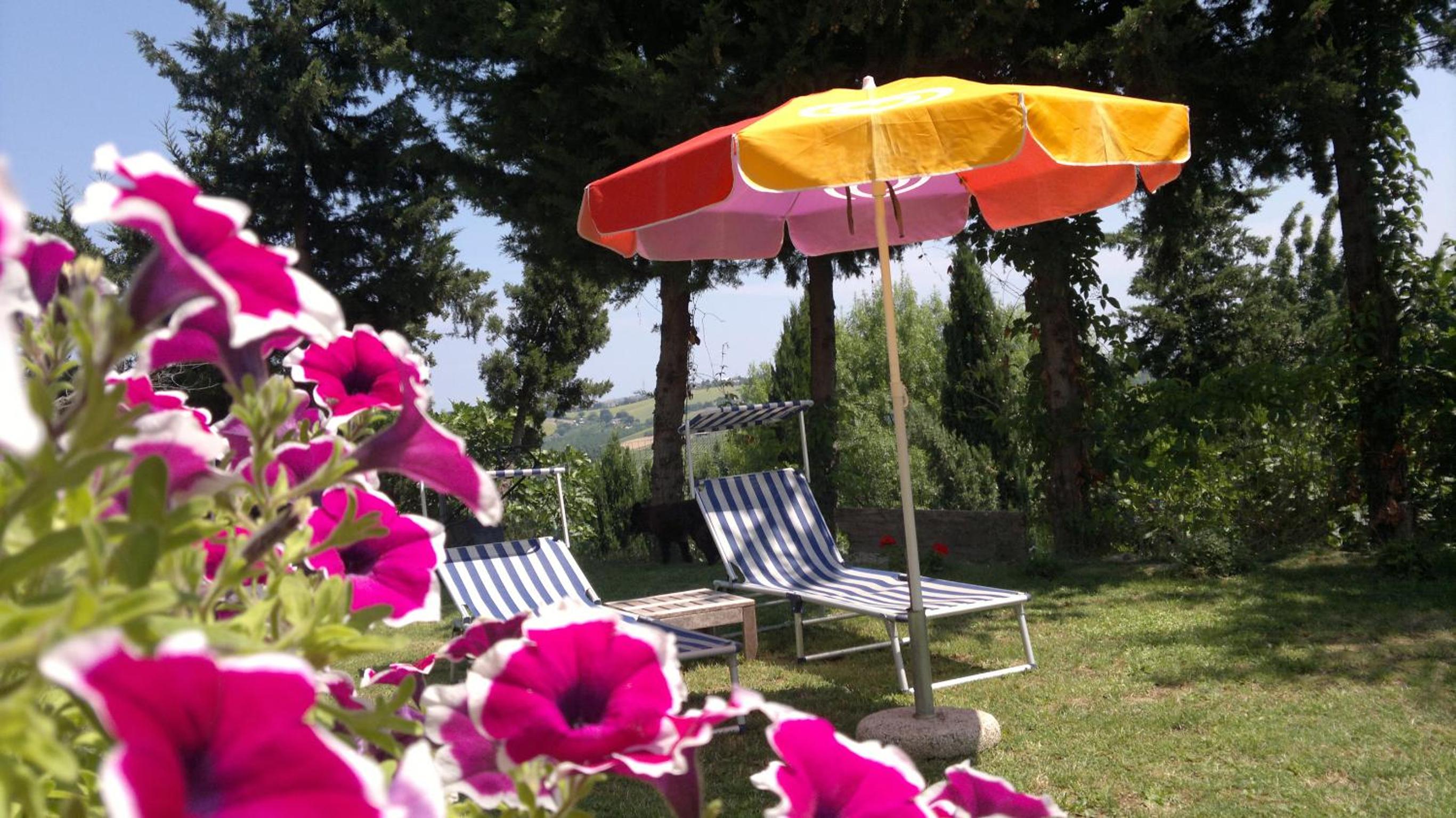 Il Parco view 5