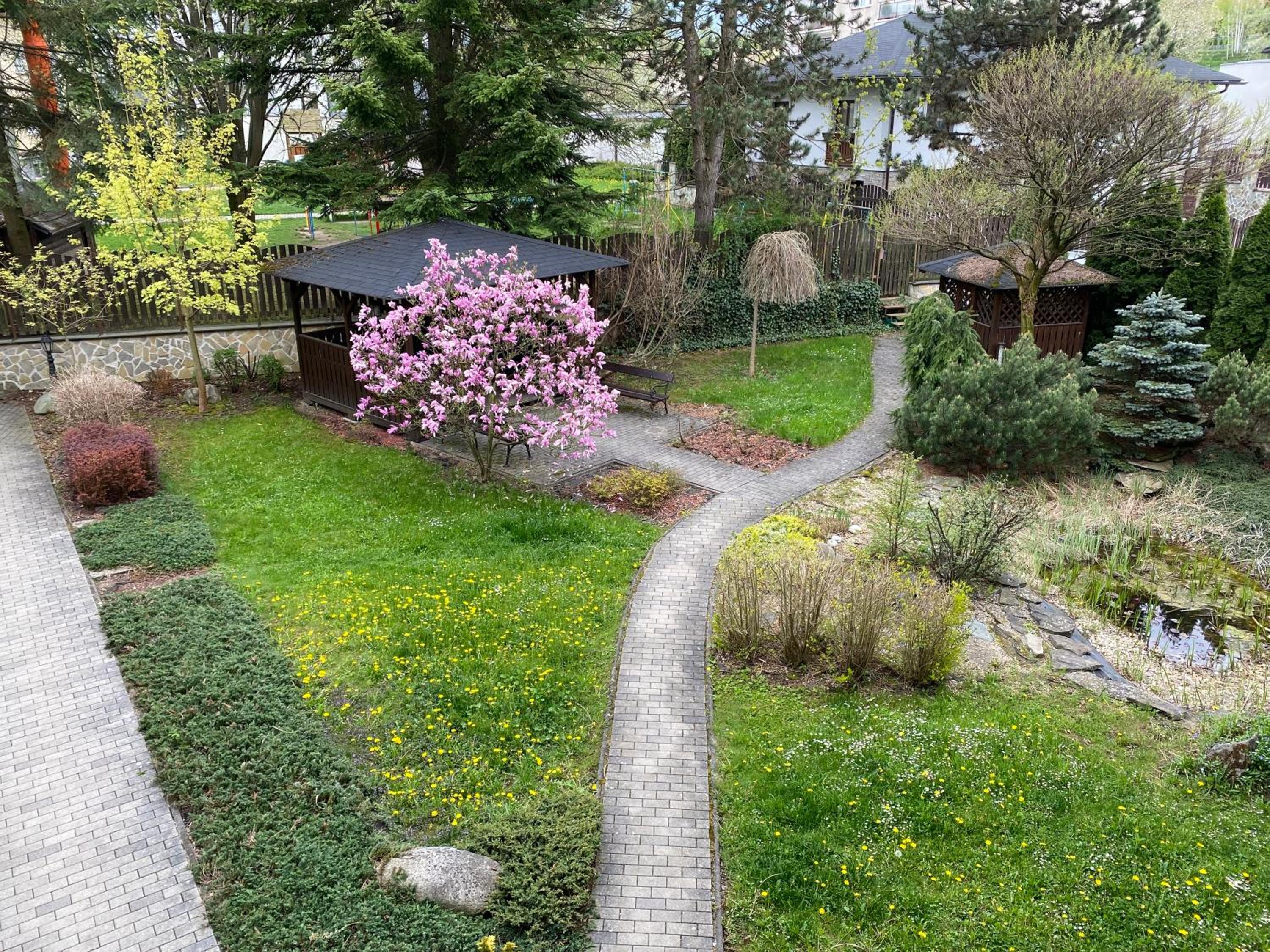 Photo 21