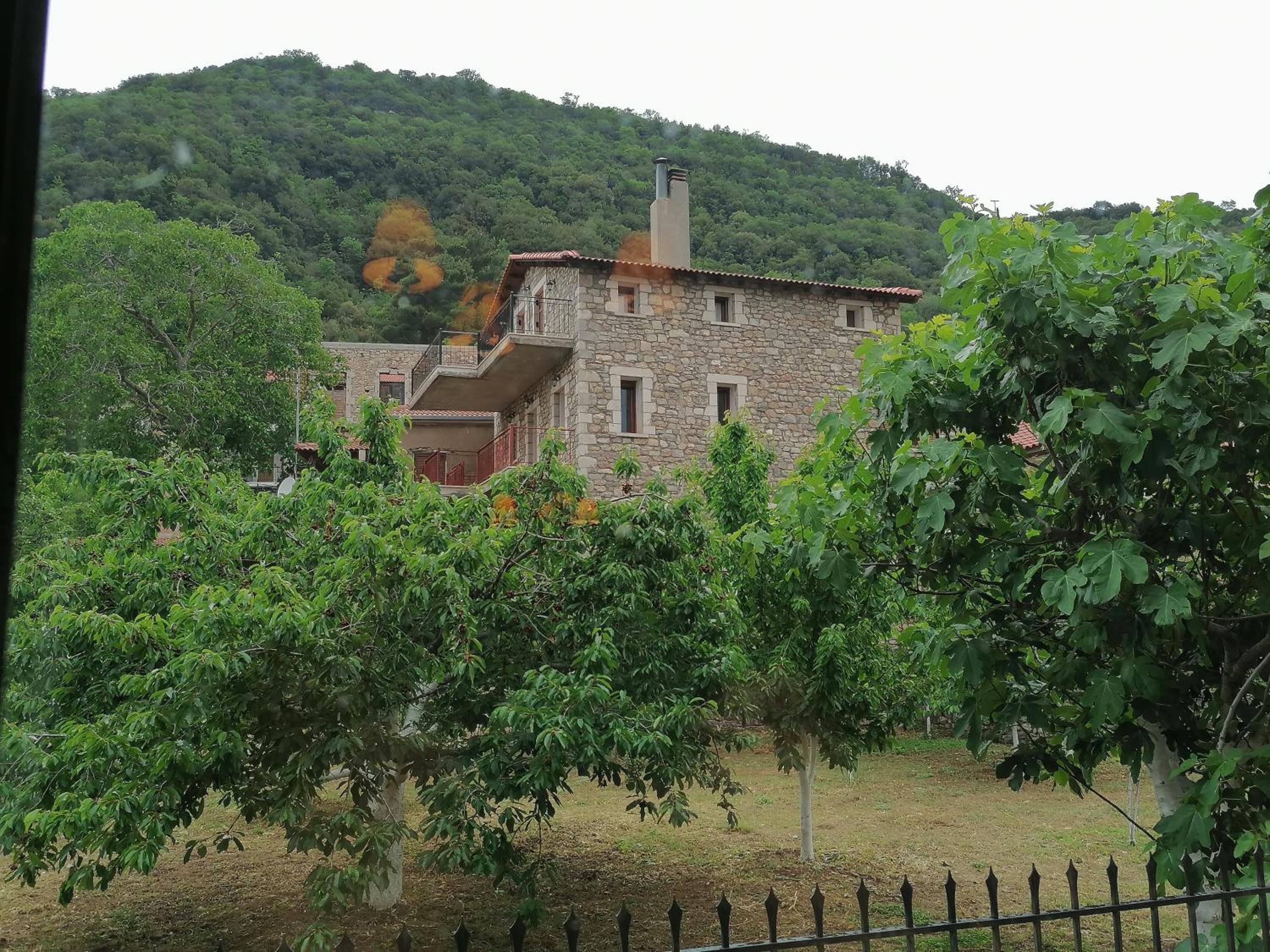 Photo 43