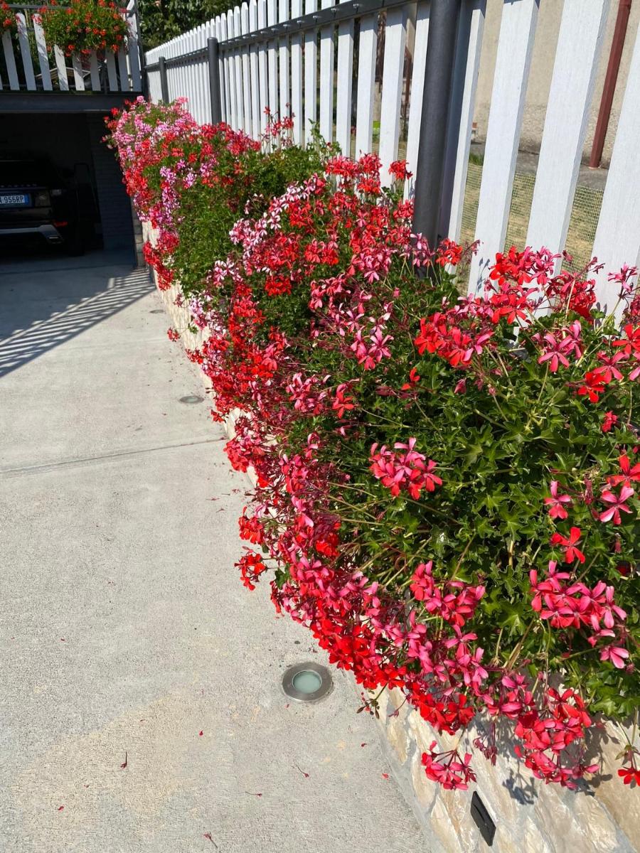 Photo 35