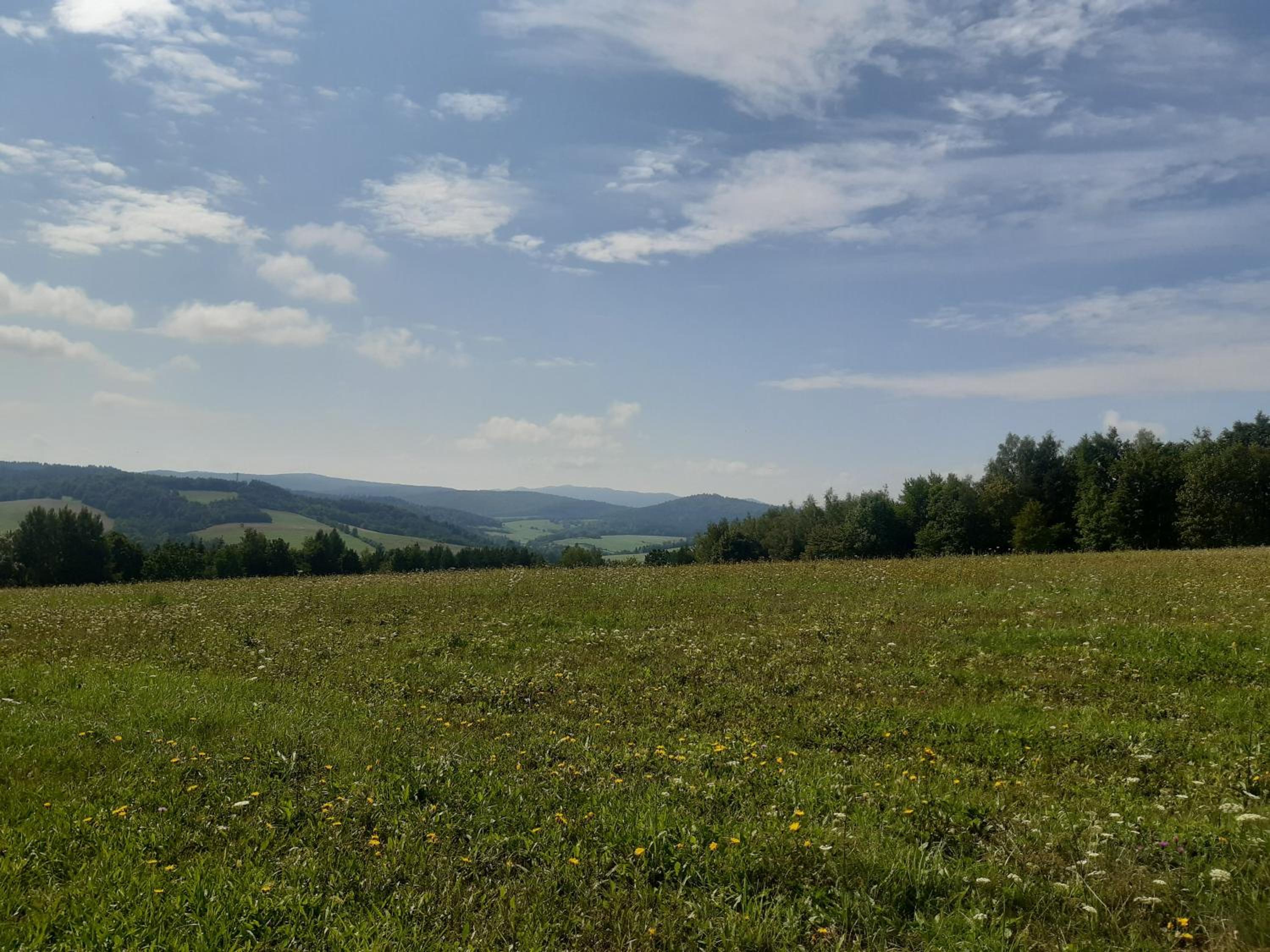 Domek na Pętli