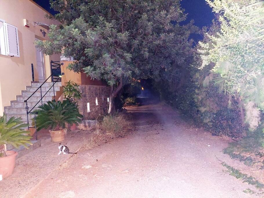 Photo 28