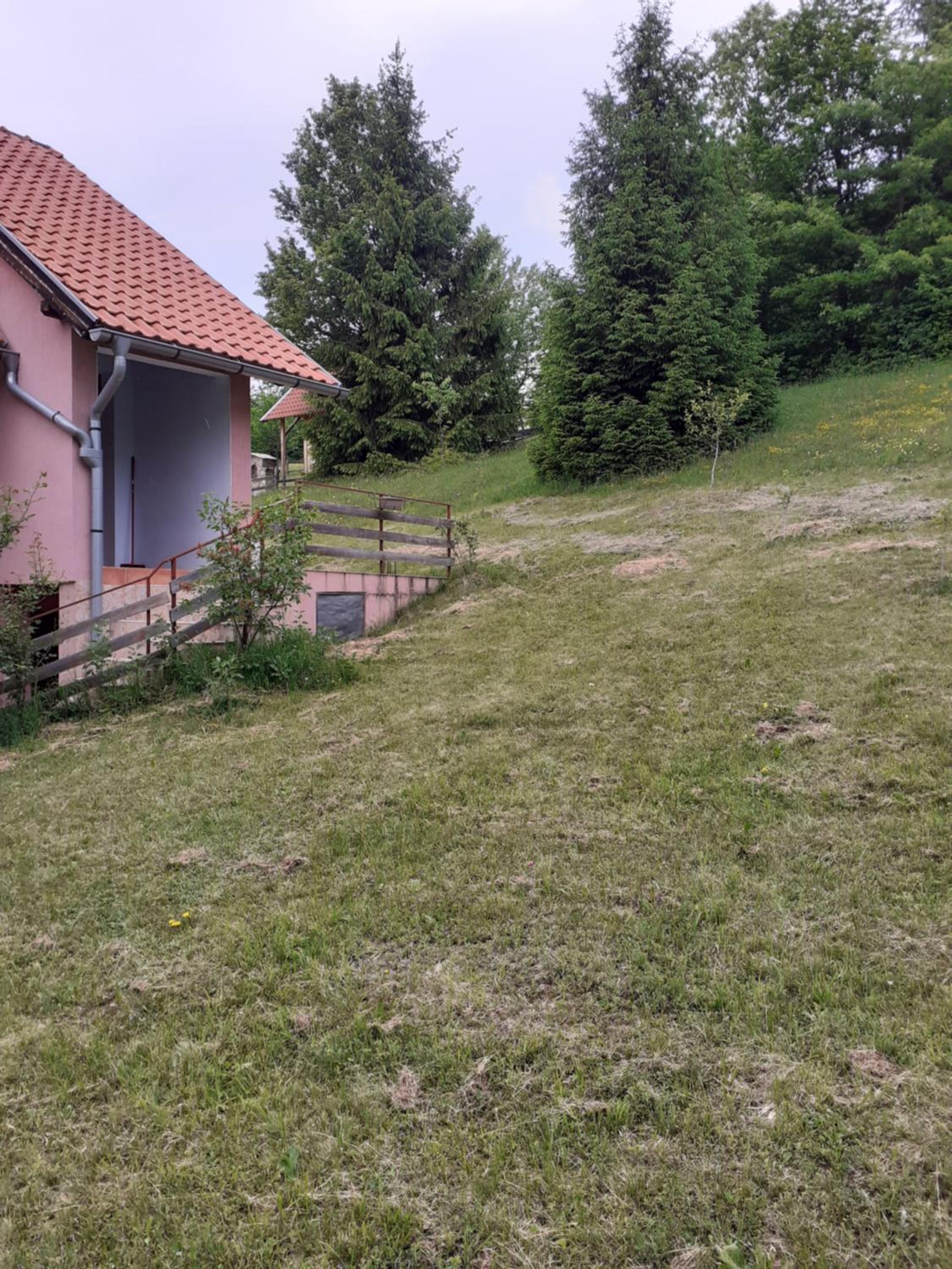 Studio apartman jelena view 5
