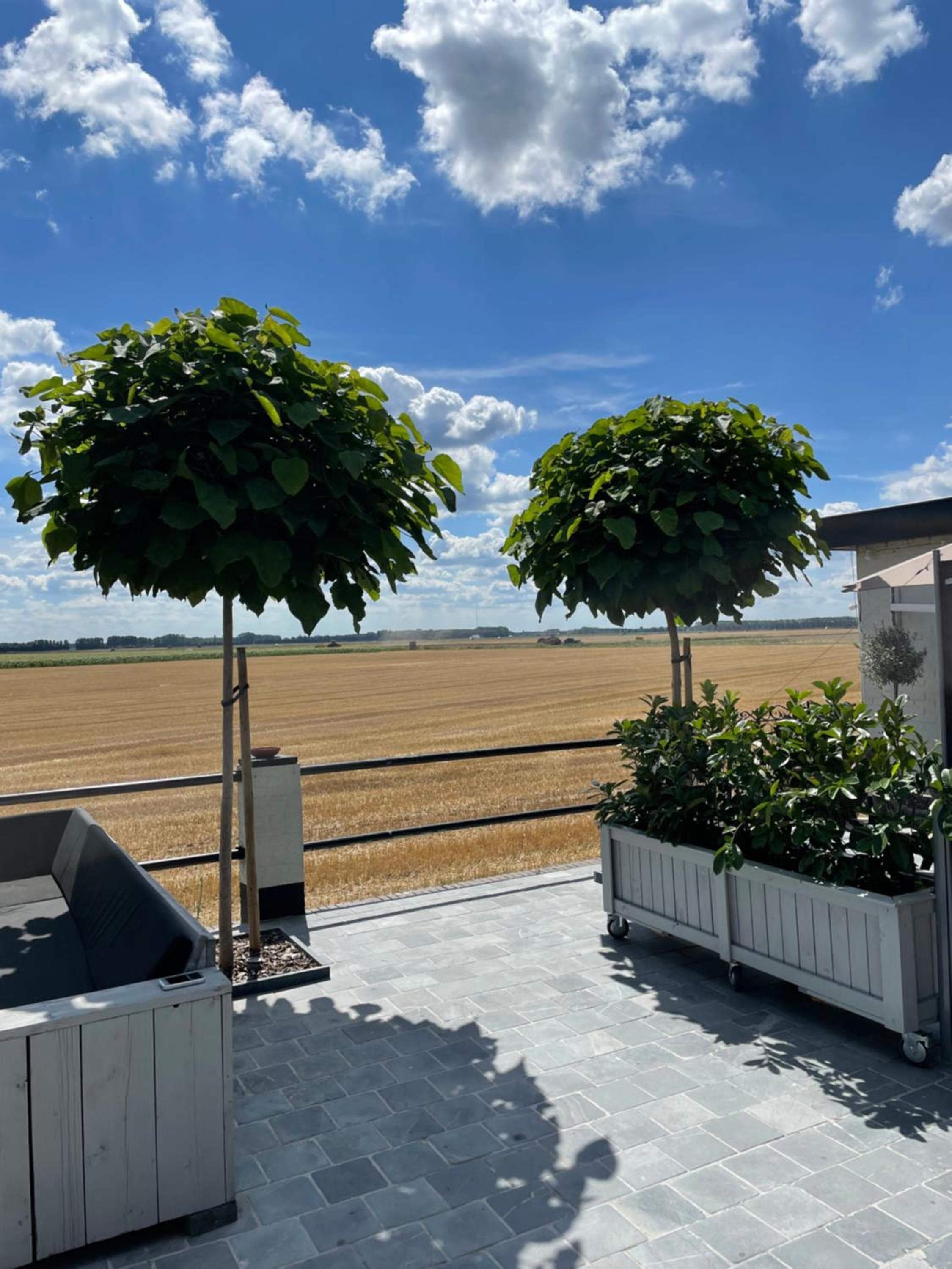 Graafjansdijk B Vakantiehuis met 3 slaapkamers net over de Belgische grens view 5