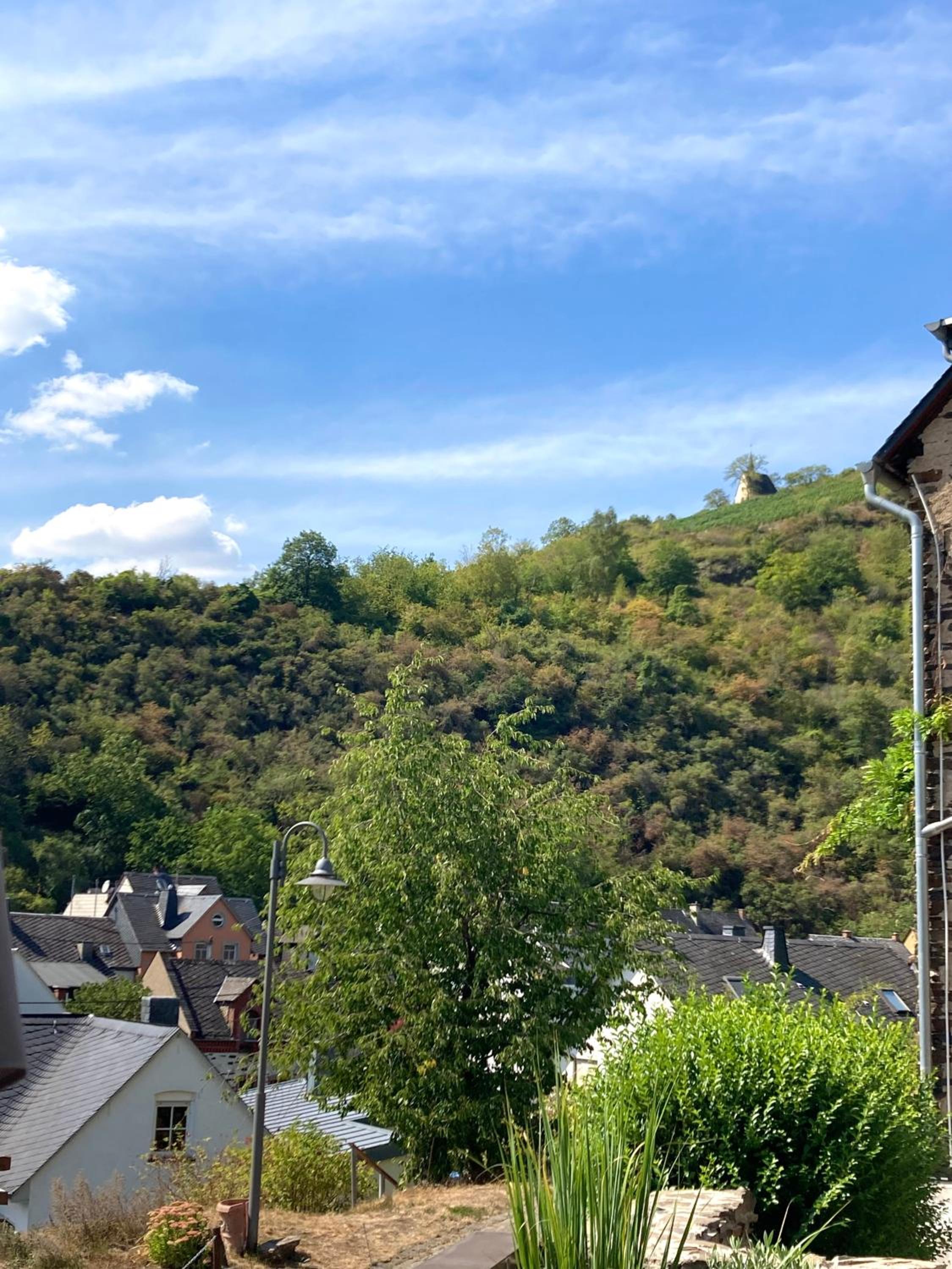 Ferienhaus Goldstück wohnen im Weinberg