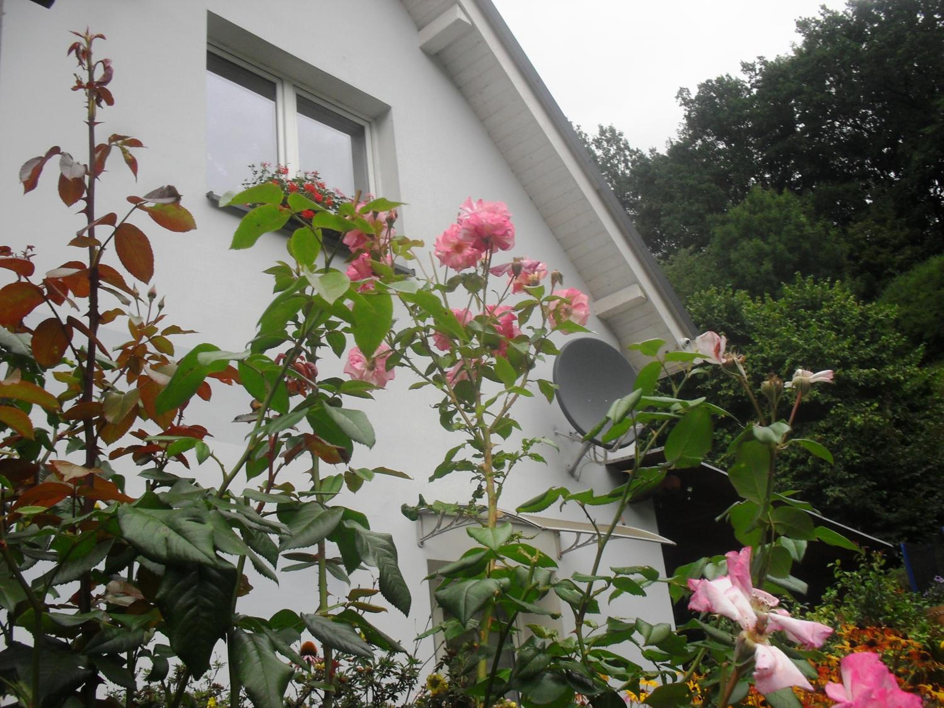 Photo 44