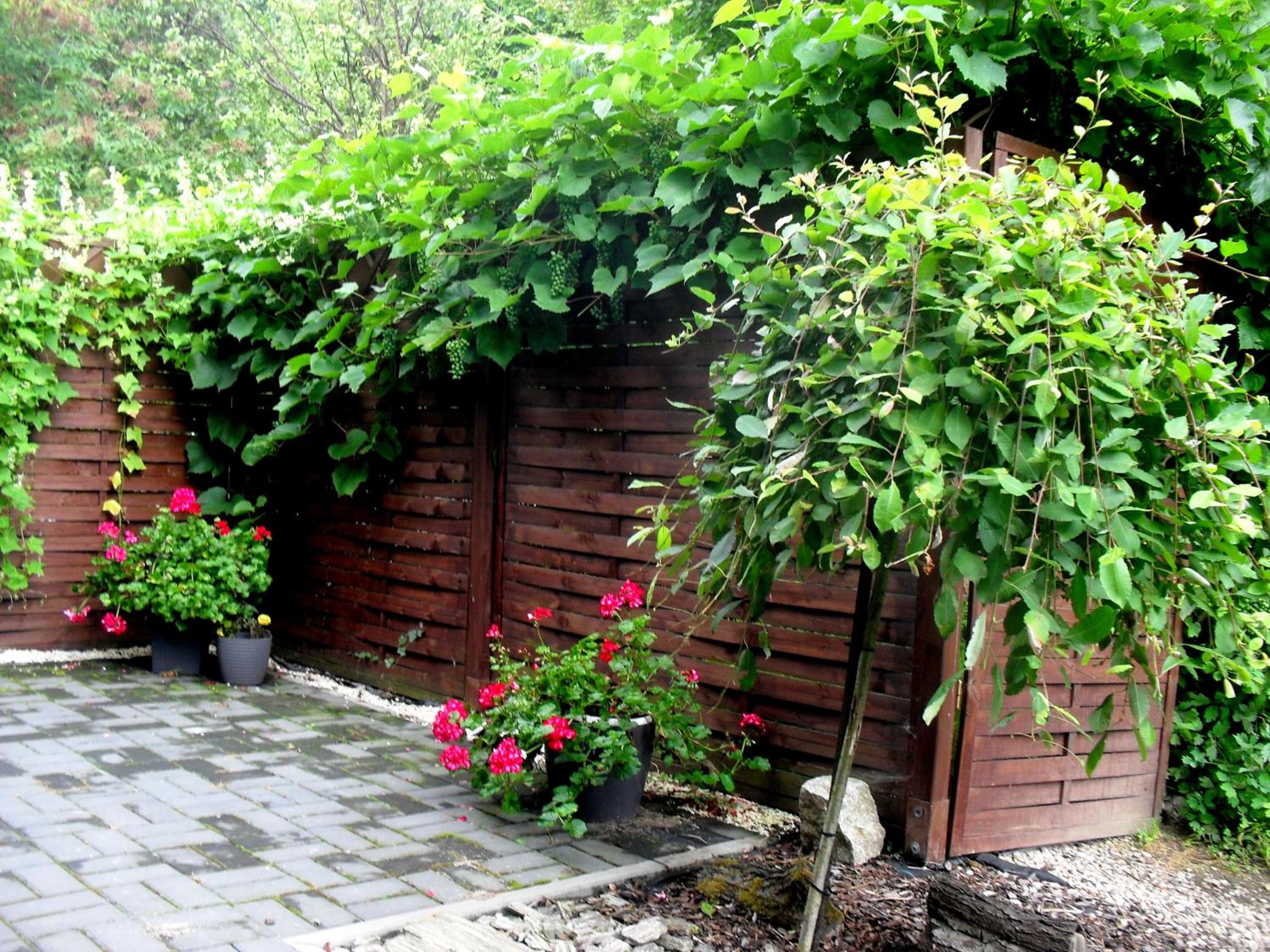 Photo 27
