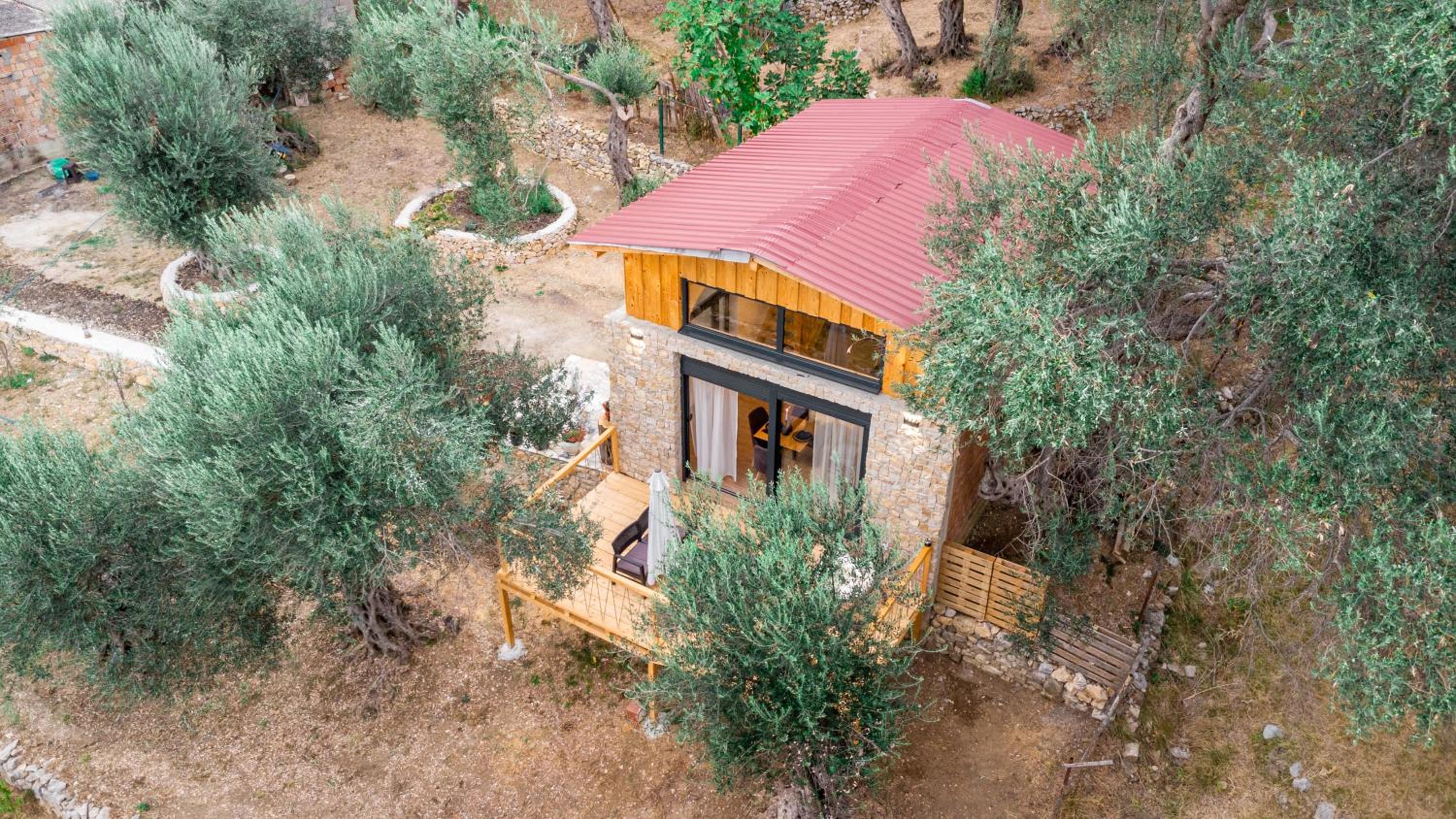 Olive Treasure photo 5