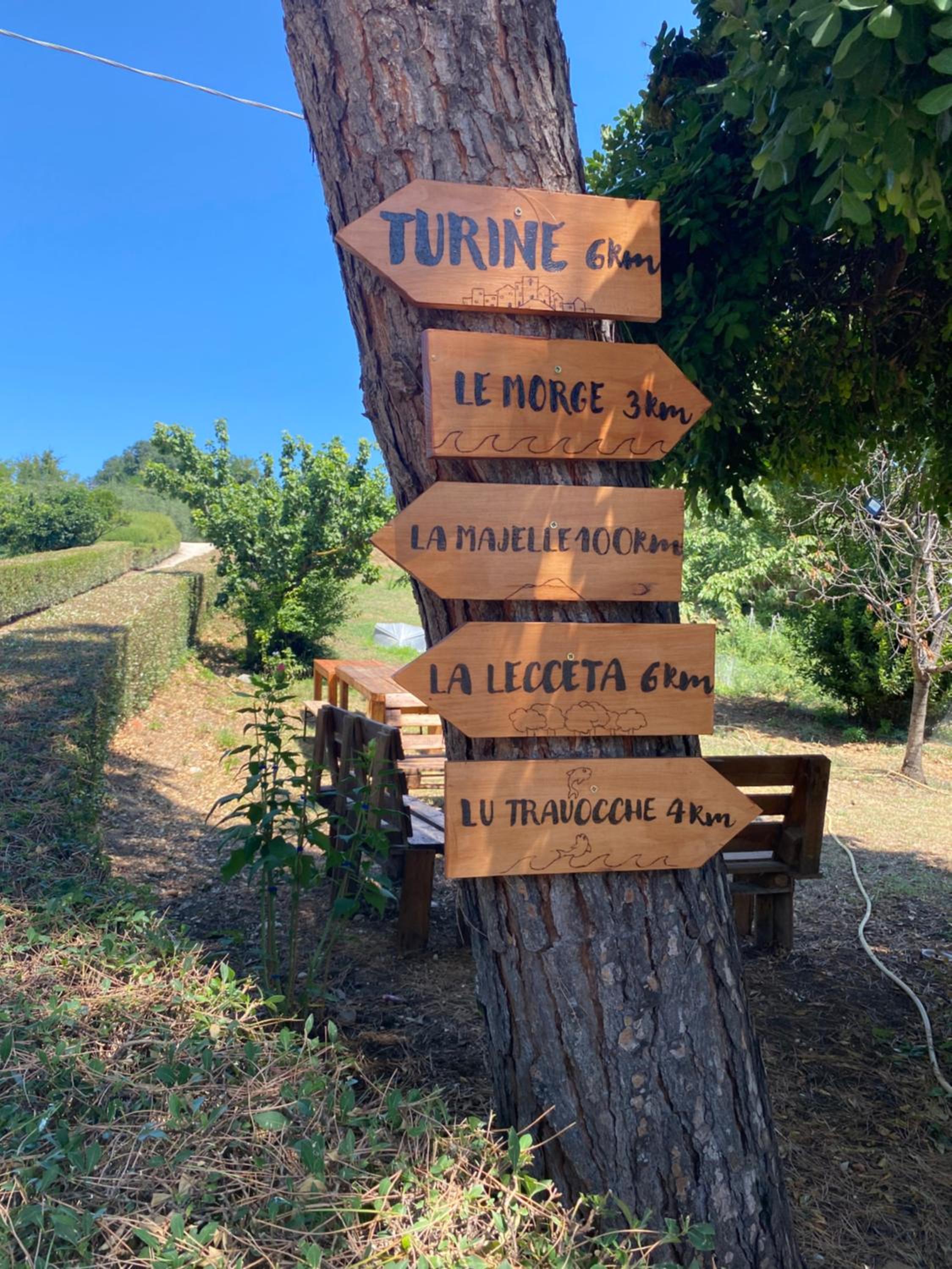Azienda agricola Villa Giorgio