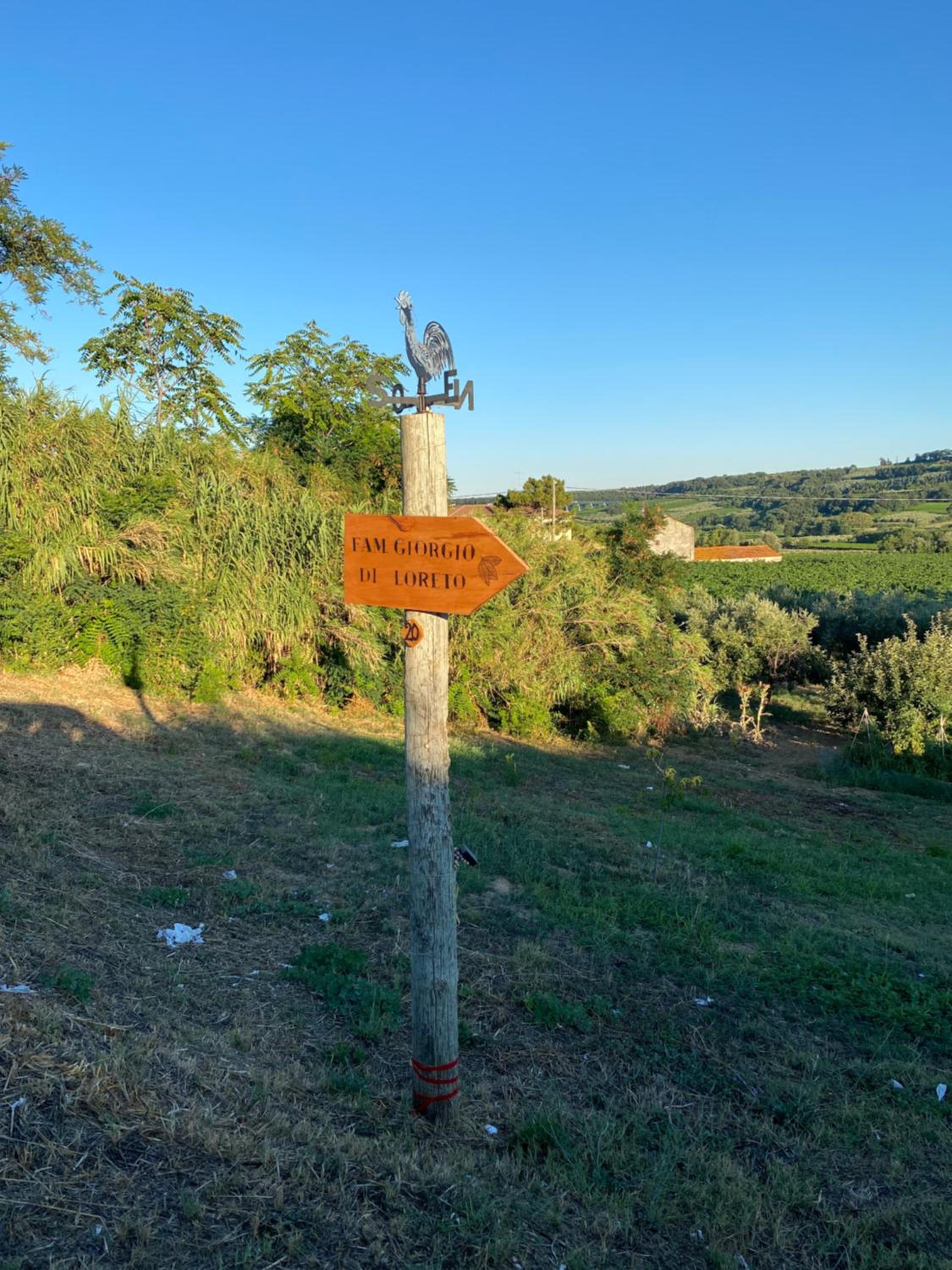 Azienda agricola Villa Giorgio