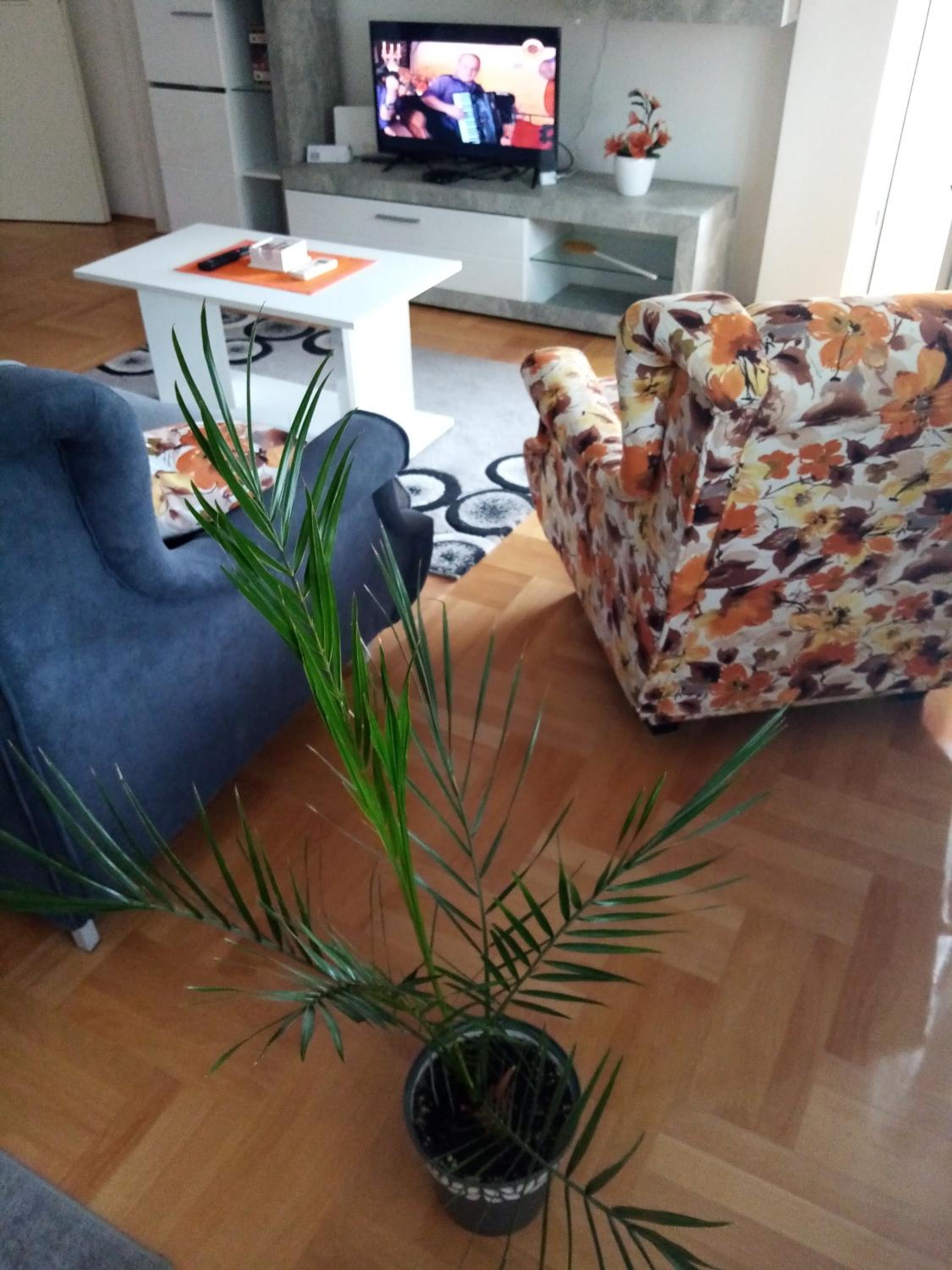 Apartman MACA view 3