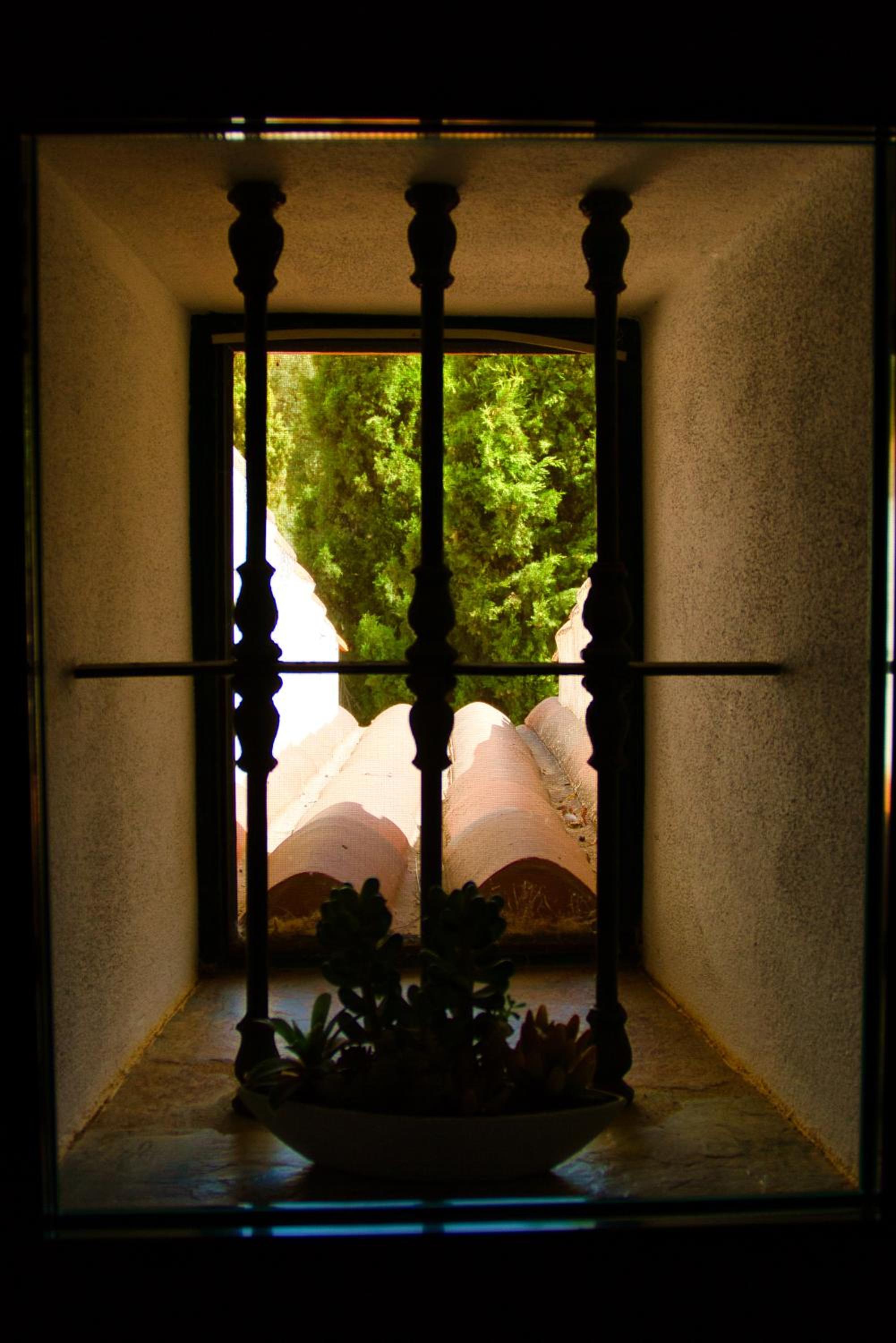 Photo 29