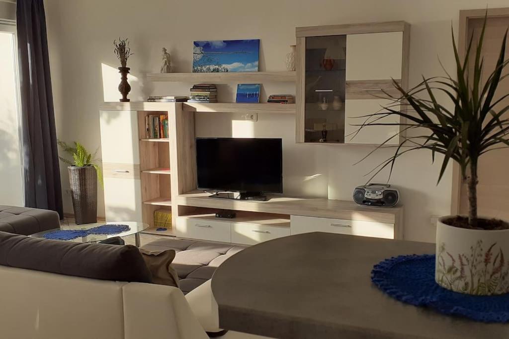 Vis - luxury holiday villa with swimming pool view 3