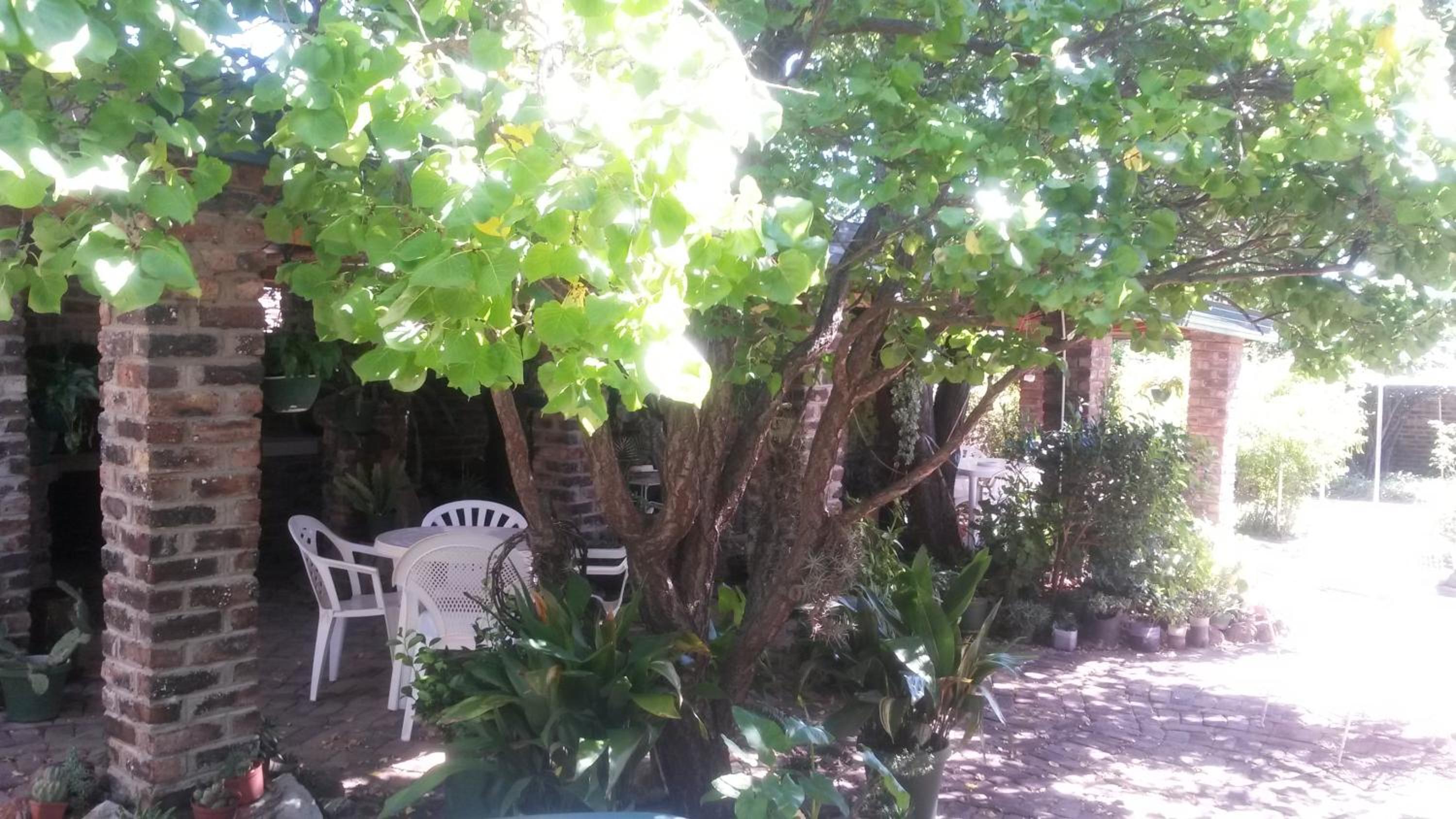 Onze Rust Guest House and caravanpark view 4