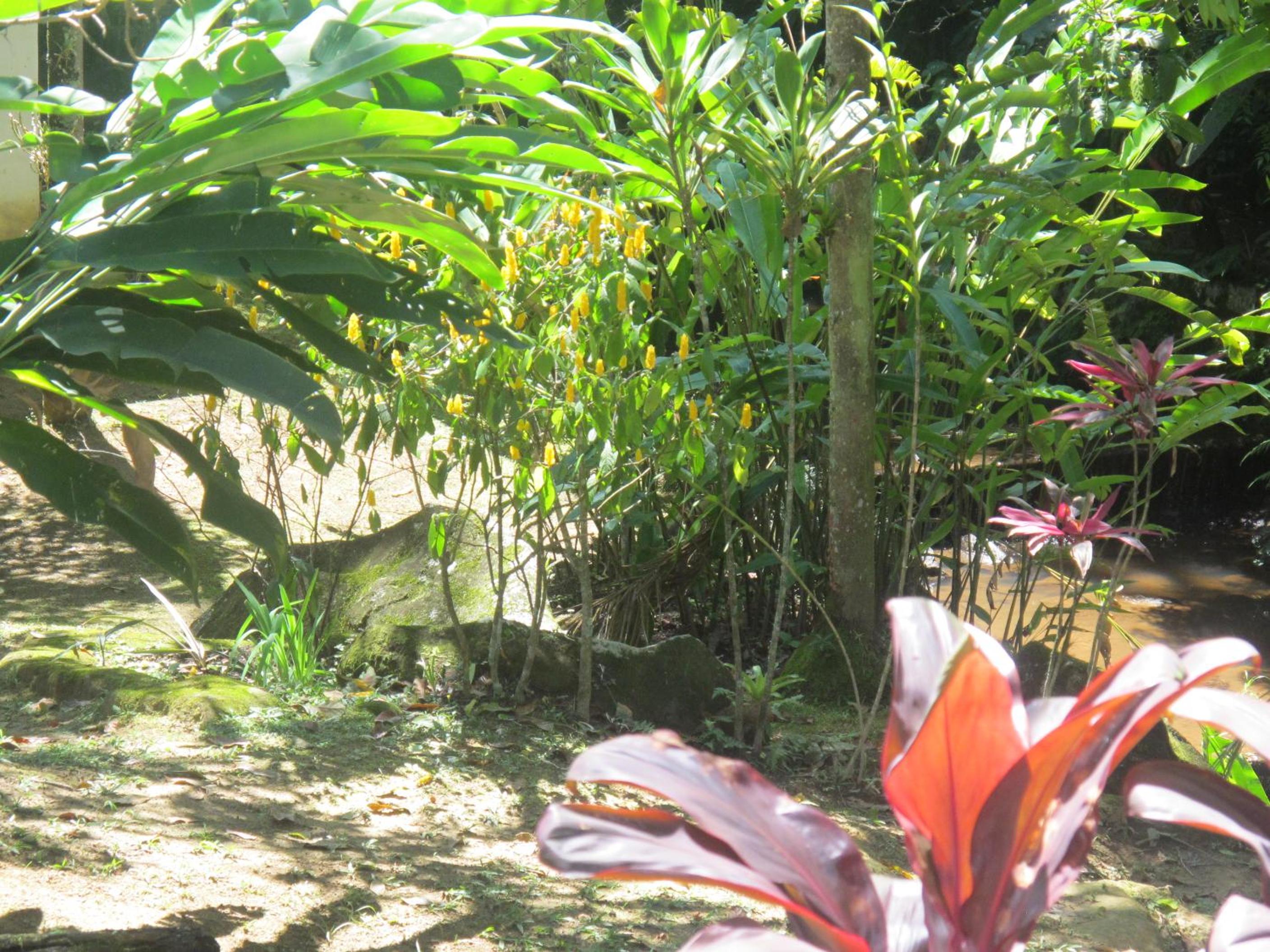 Photo 45