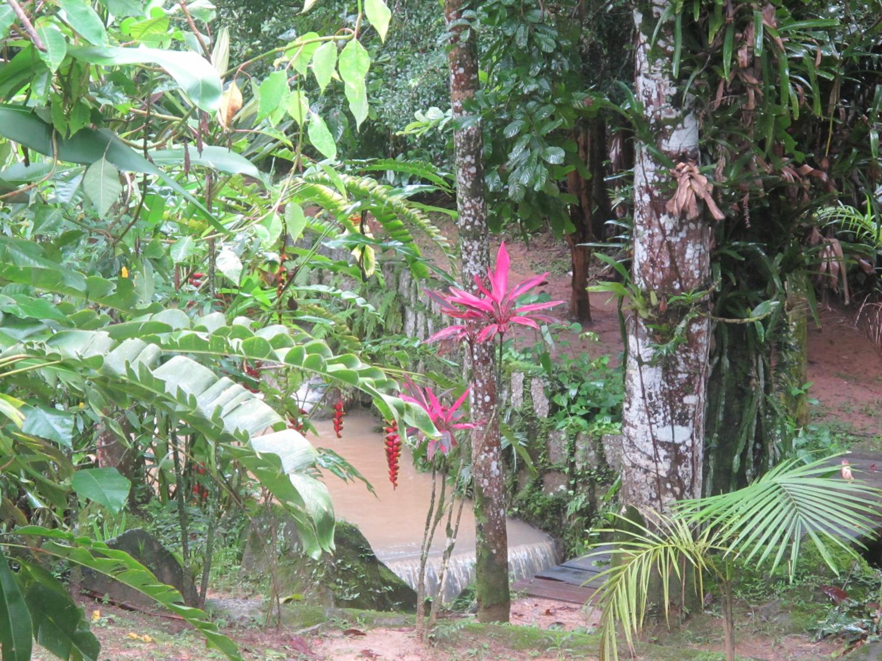 Photo 41