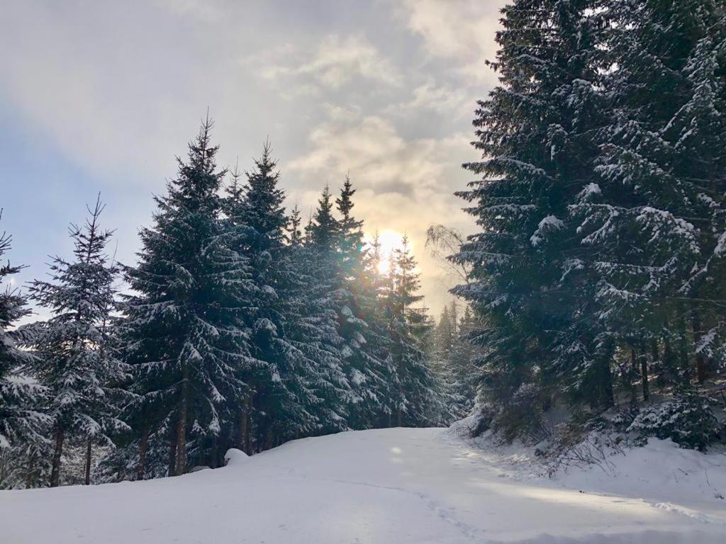 Almland Hütte