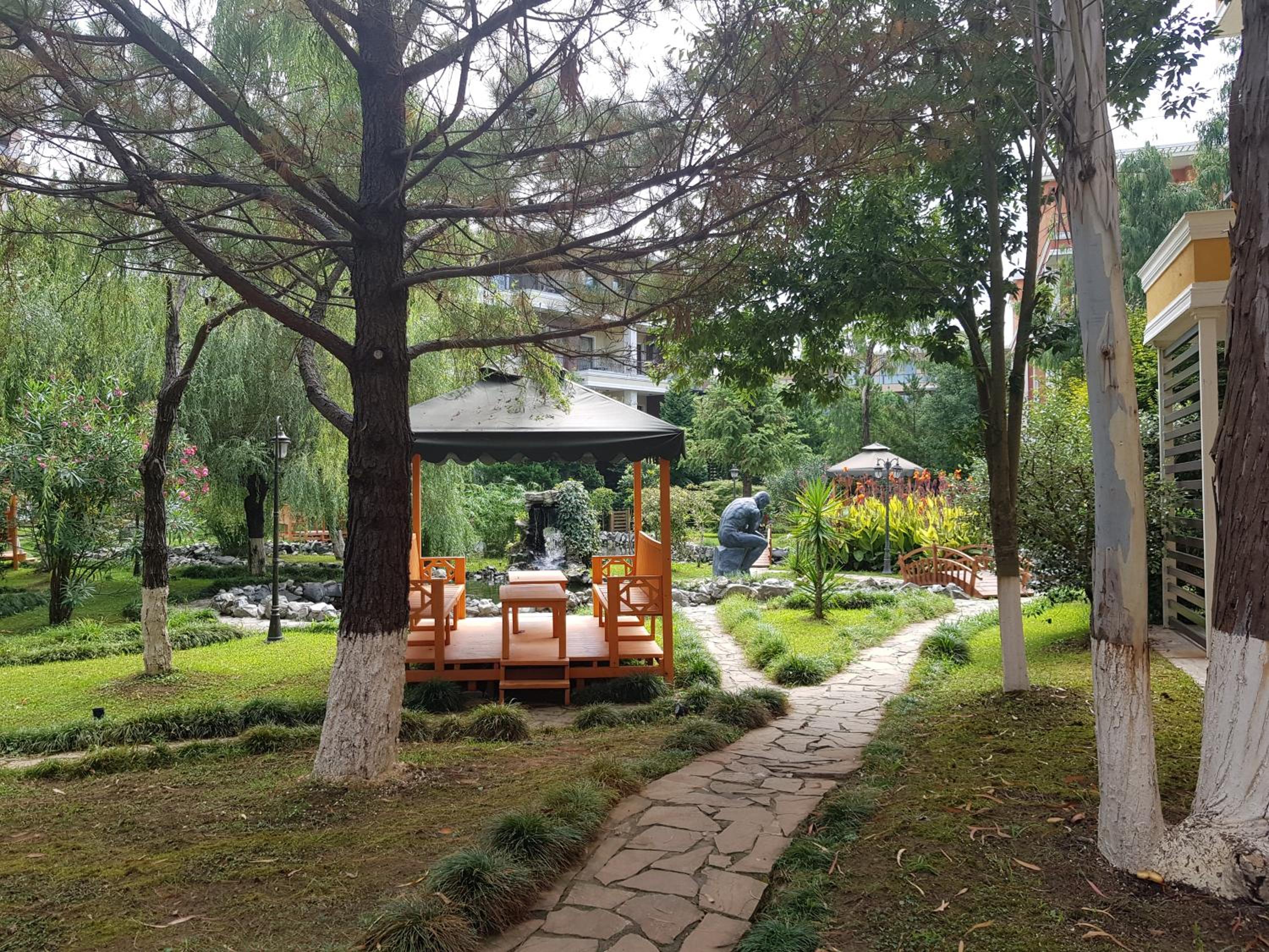 Photo 12