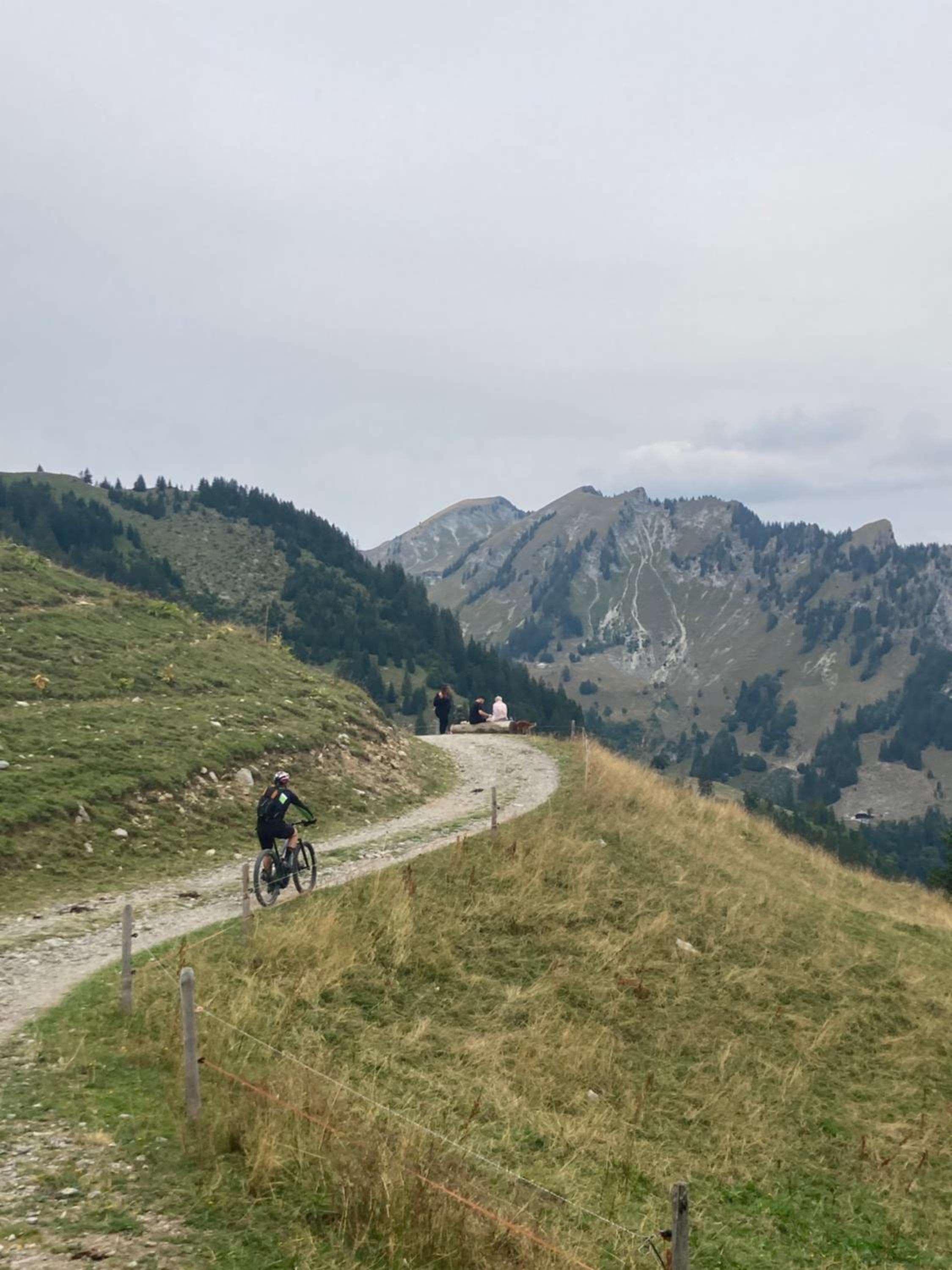 Chalet Alte Post