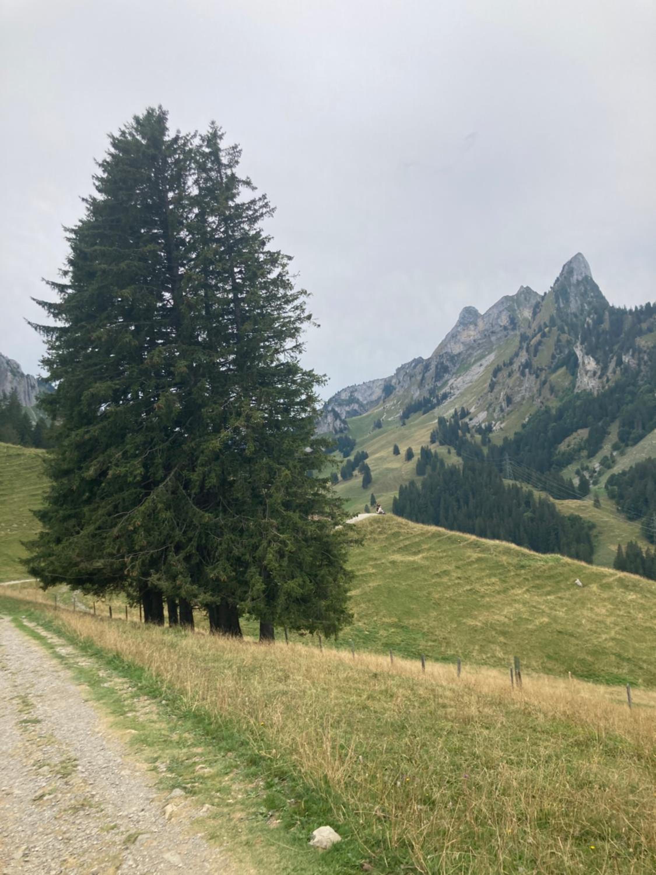 Chalet Alte Post