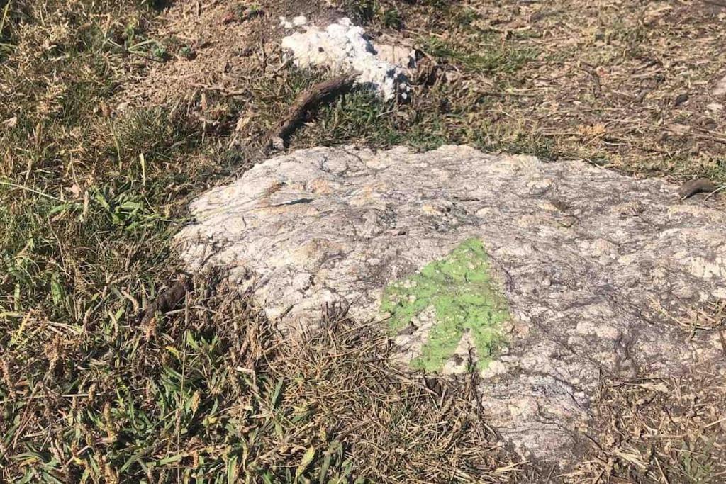 other