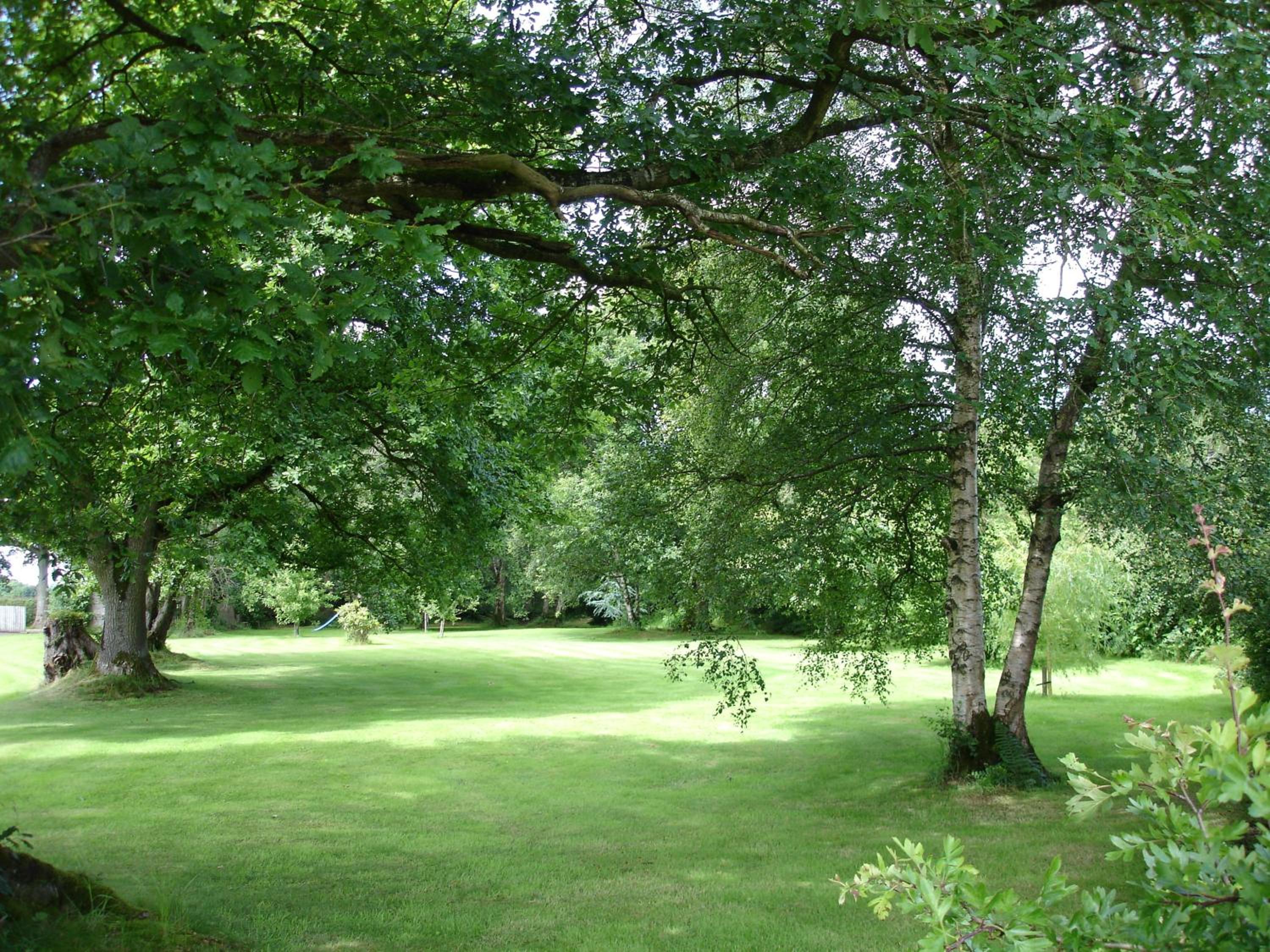 Photo 23