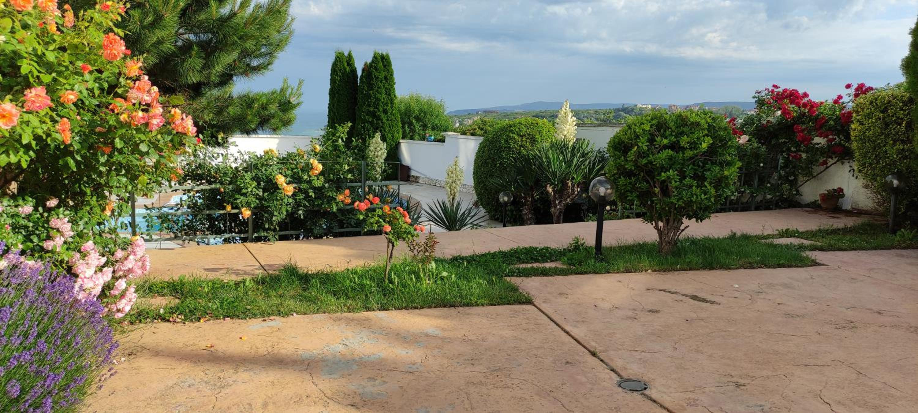Villa Byala Grape House