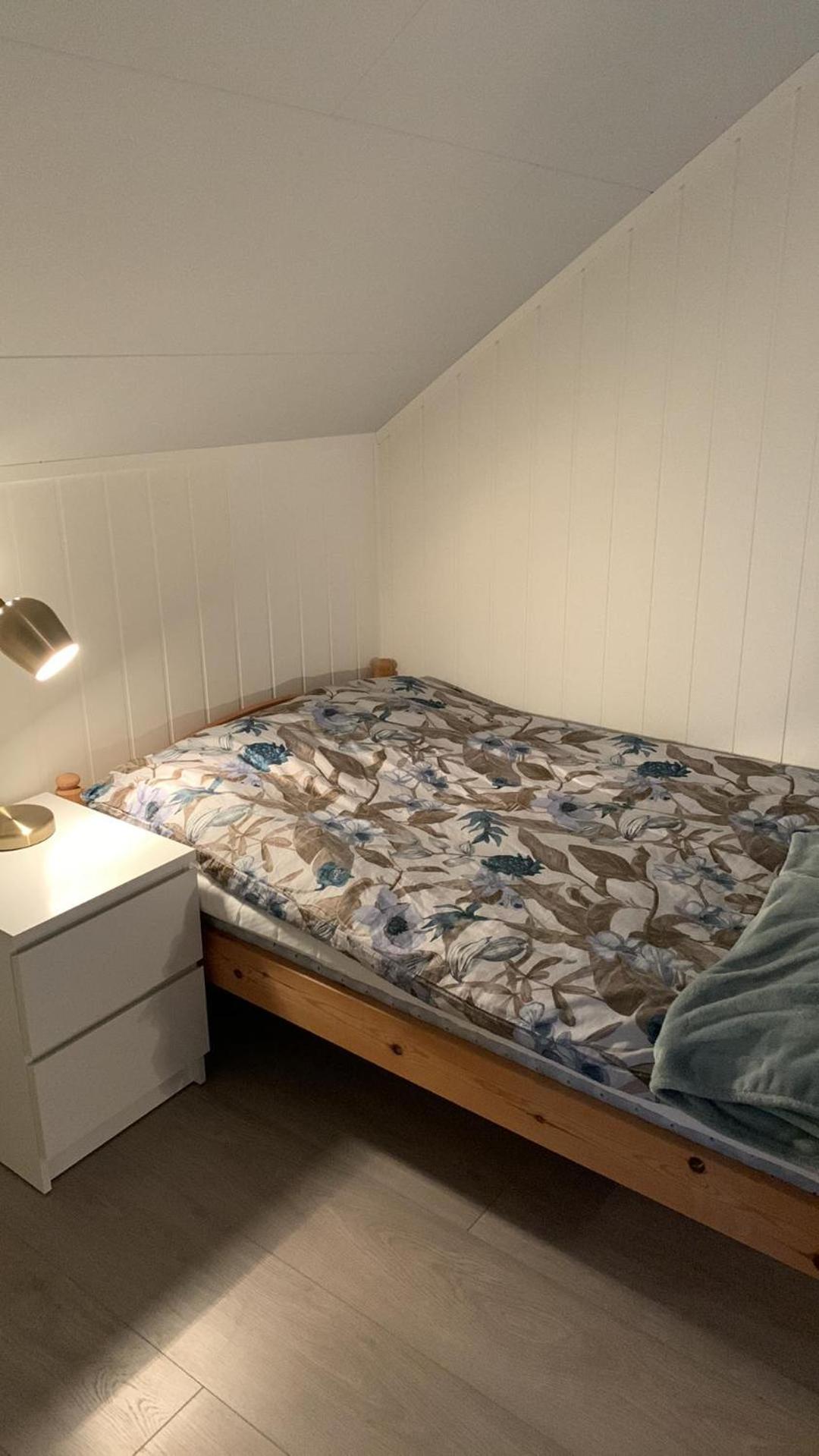 Landsbyhus i Lofoten