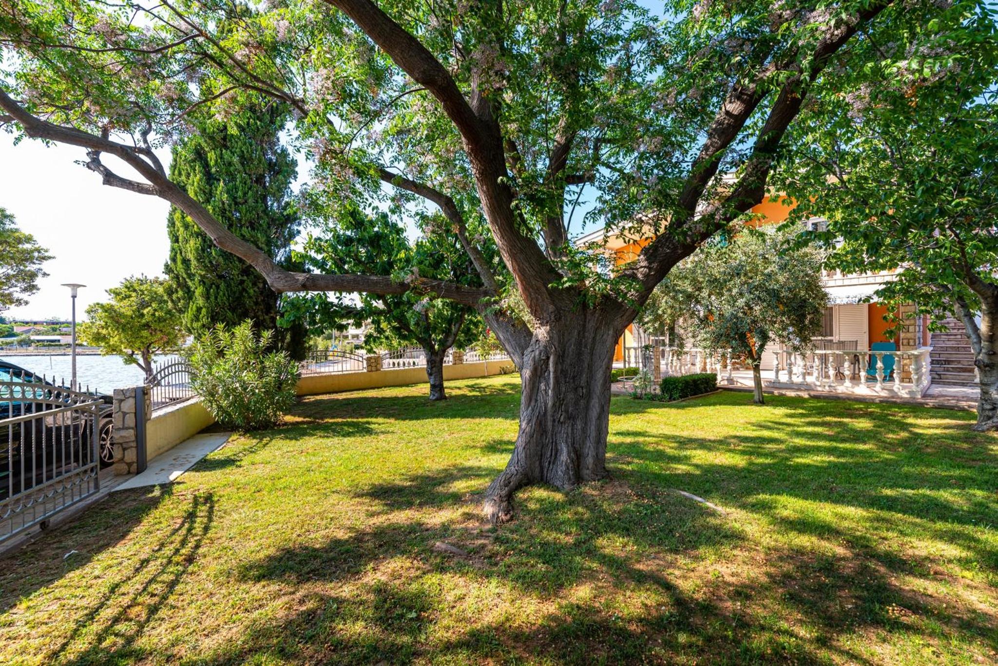 Apartments by the sea Privlaka, Zadar - 18652 view 4