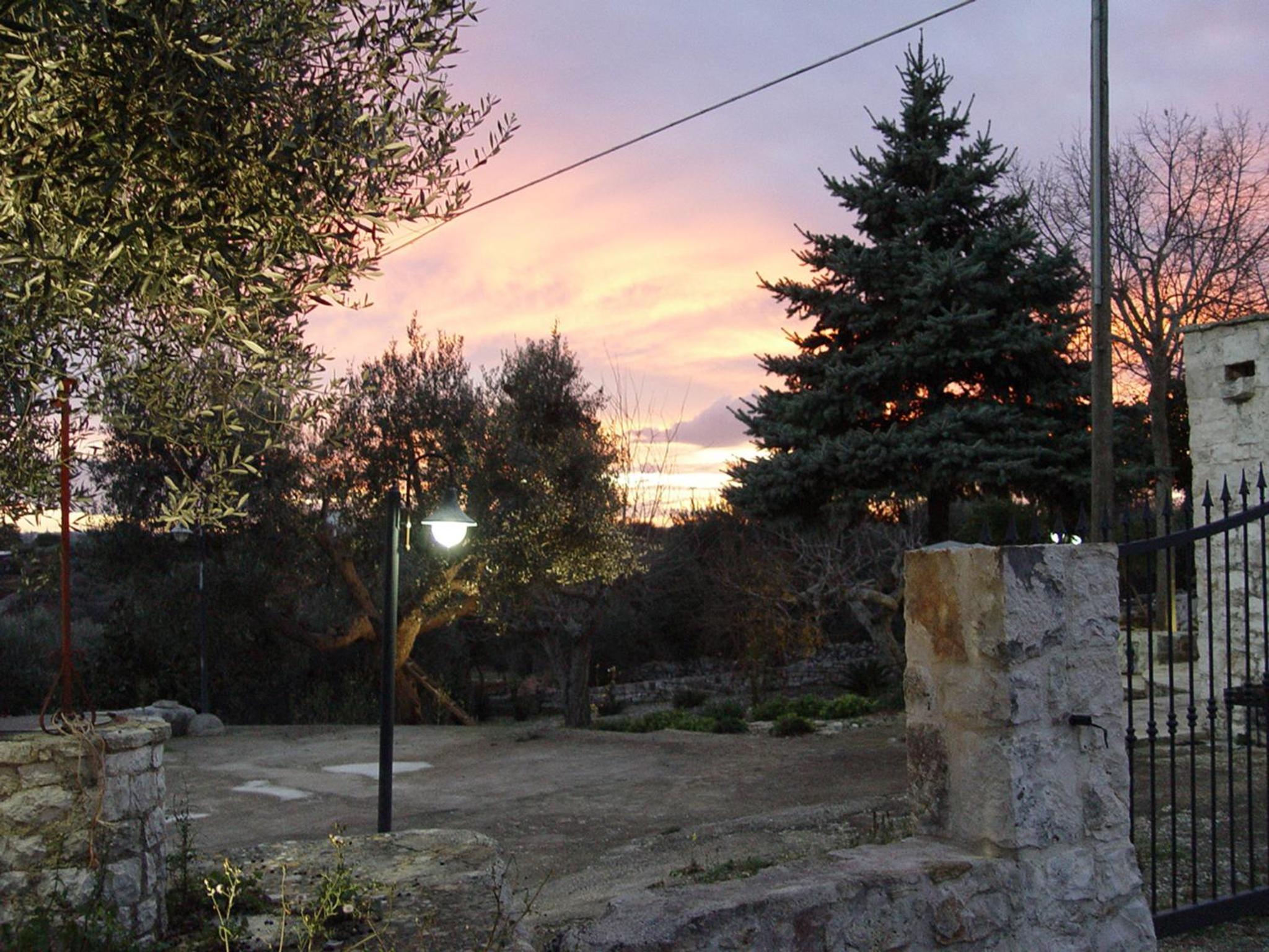Photo 37