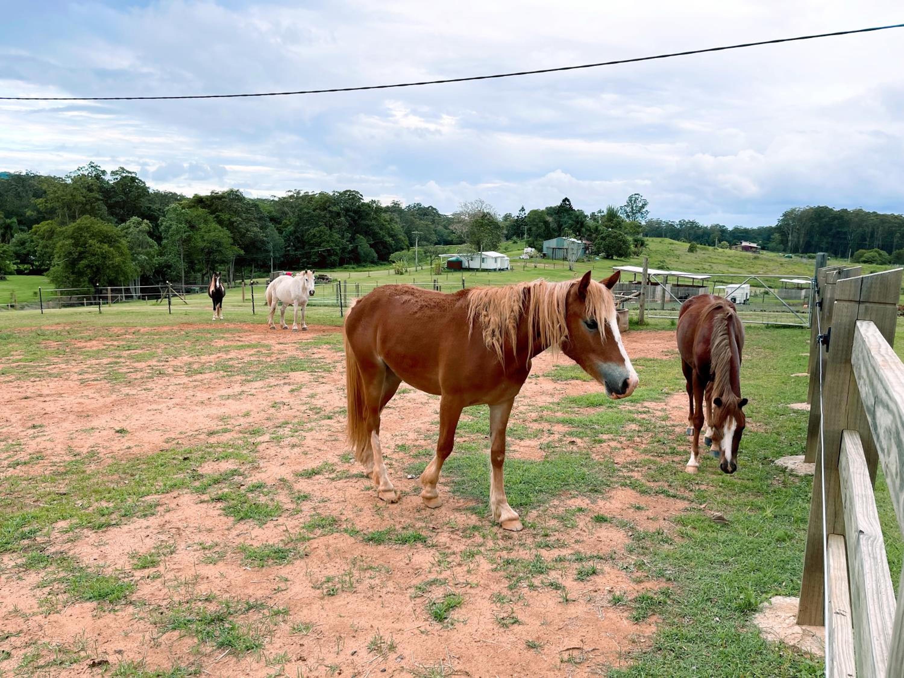 Seven Peaks Farm Stay
