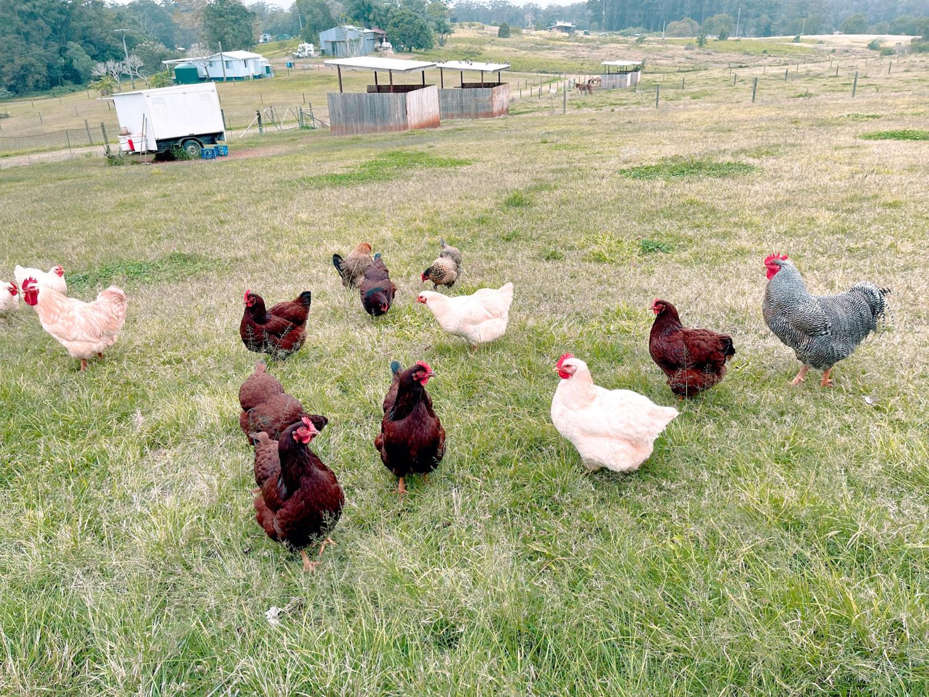 Seven Peaks Farm Stay