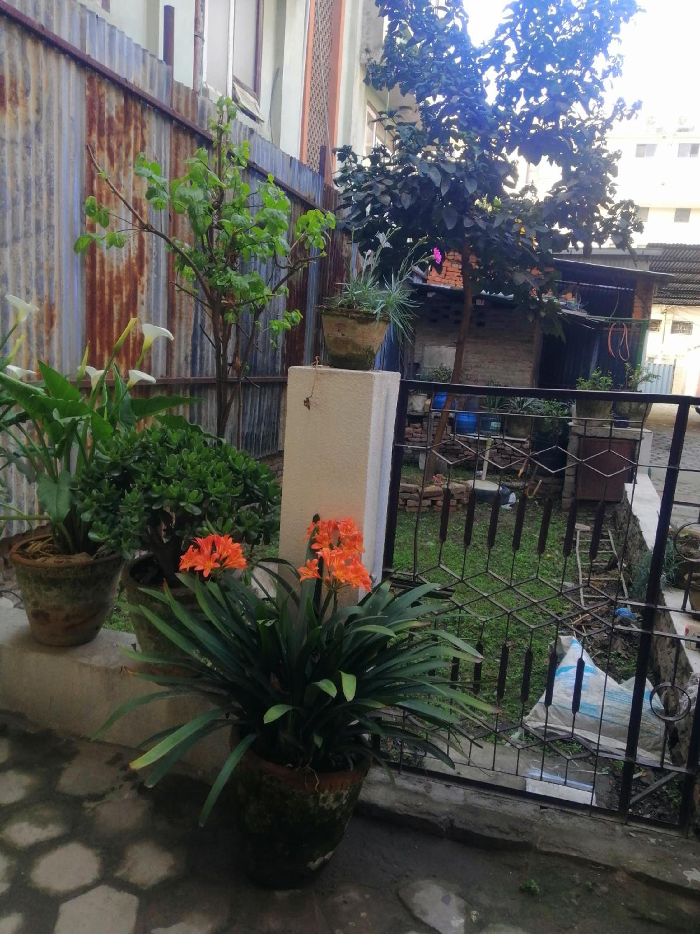 newa home