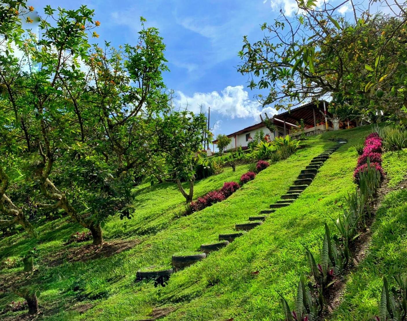 Finca El Bazar